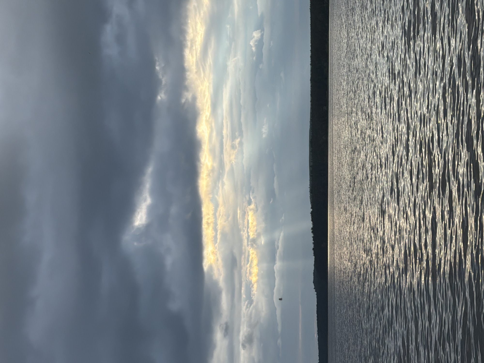 The image displays a large body of water under a sky characterized by extensive, dark grey cloud cover. Streaks of golden light penetrate the clouds horizontally across the upper-mid portion of the frame, indicating the presence of a light source, likely the sun, behind the clouds. Below this, in the mid-left sky, distinct crepuscular rays descend towards the water, emanating from a lighter break in the cloud layer. A small, dark, unidentifiable object, possibly an avian subject, is faintly visible in the mid-left sky, to the left of the sunbeams. The horizon is defined by a dark, continuous line of forested land, appearing as a distant silhouette between the water and the sky. The surface of the water is moderately rippled, exhibiting bright reflections of the overhead light, particularly in the central and right areas, forming shimmering patterns. The scene is consistent with a view over the Votkinsk Pond (Votkinsk Reservoir) in Votkinsk, Russia. No human figures, vessels, or man-made structures are observed in the photograph.