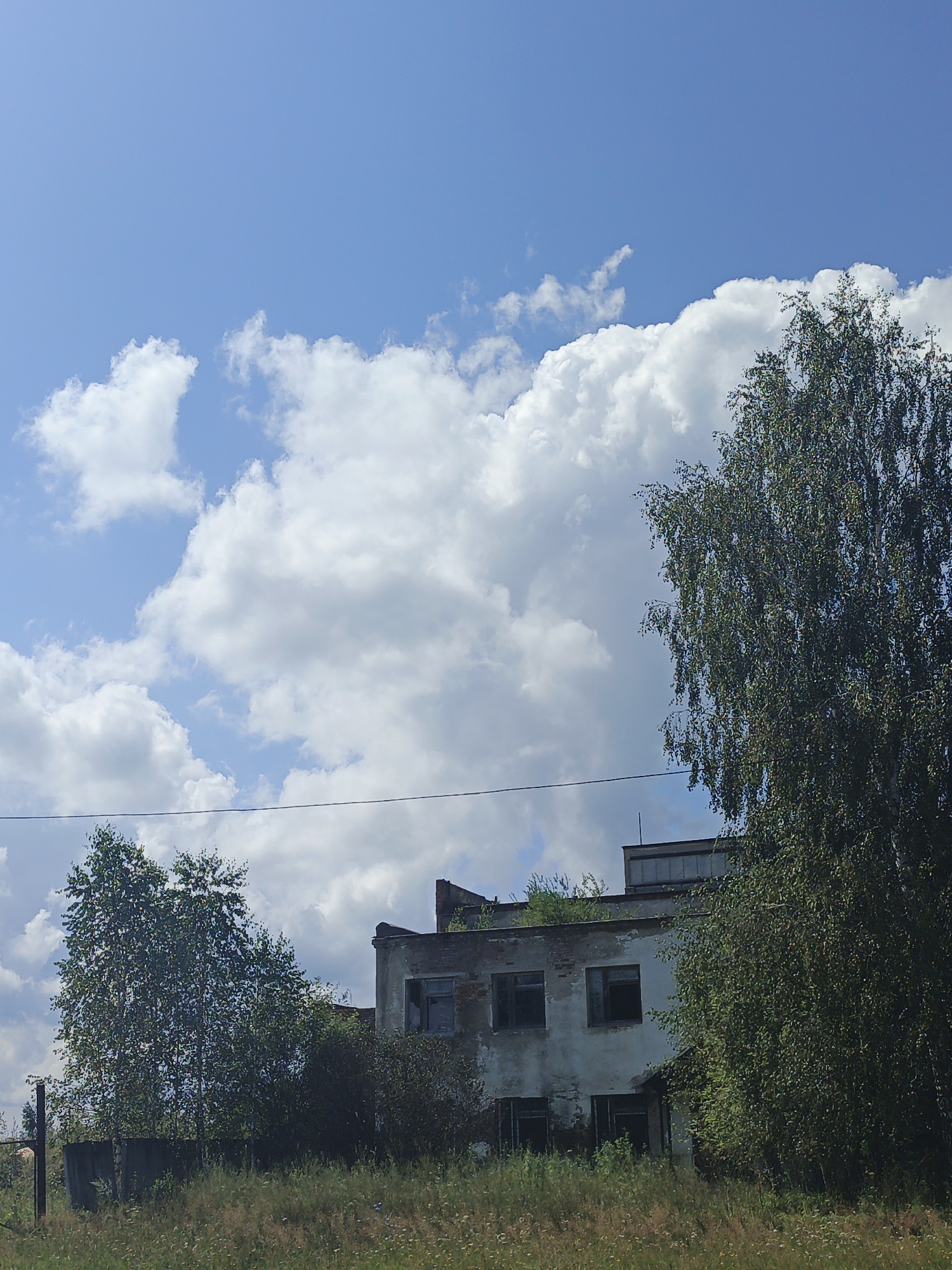 This is a medium-shot, eye-level, outdoor, daytime, full-color photograph of a dilapidated building in Medvedyovka, Russia. The building is in a state of disrepair, with peeling paint and broken windows. It is surrounded by overgrown vegetation and trees, suggesting abandonment. The sky is bright blue with scattered white clouds. A power line is visible in the upper part of the image. The overall atmosphere is one of decay and neglect.