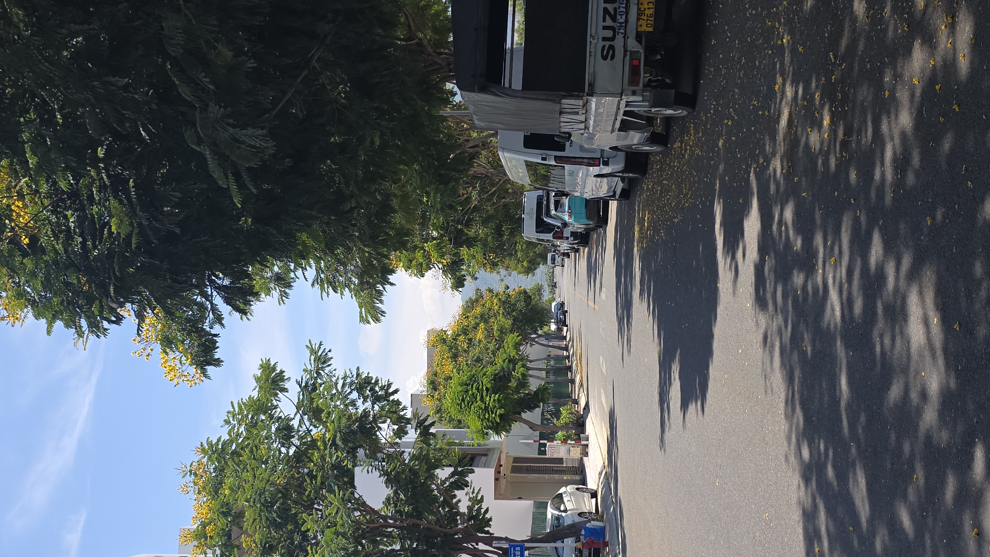 The image captures a street scene in Nam Nha Trang Ward, Vietnam. A line of vehicles, including a Suzuki pickup truck, is parked along the right side of a paved road. The road stretches into the distance, lined with trees, some bearing yellow flowers. The sky is visible between the trees. Shadows from the trees fall across the road. Buildings are visible on the left side of the road. The light suggests it is daytime.