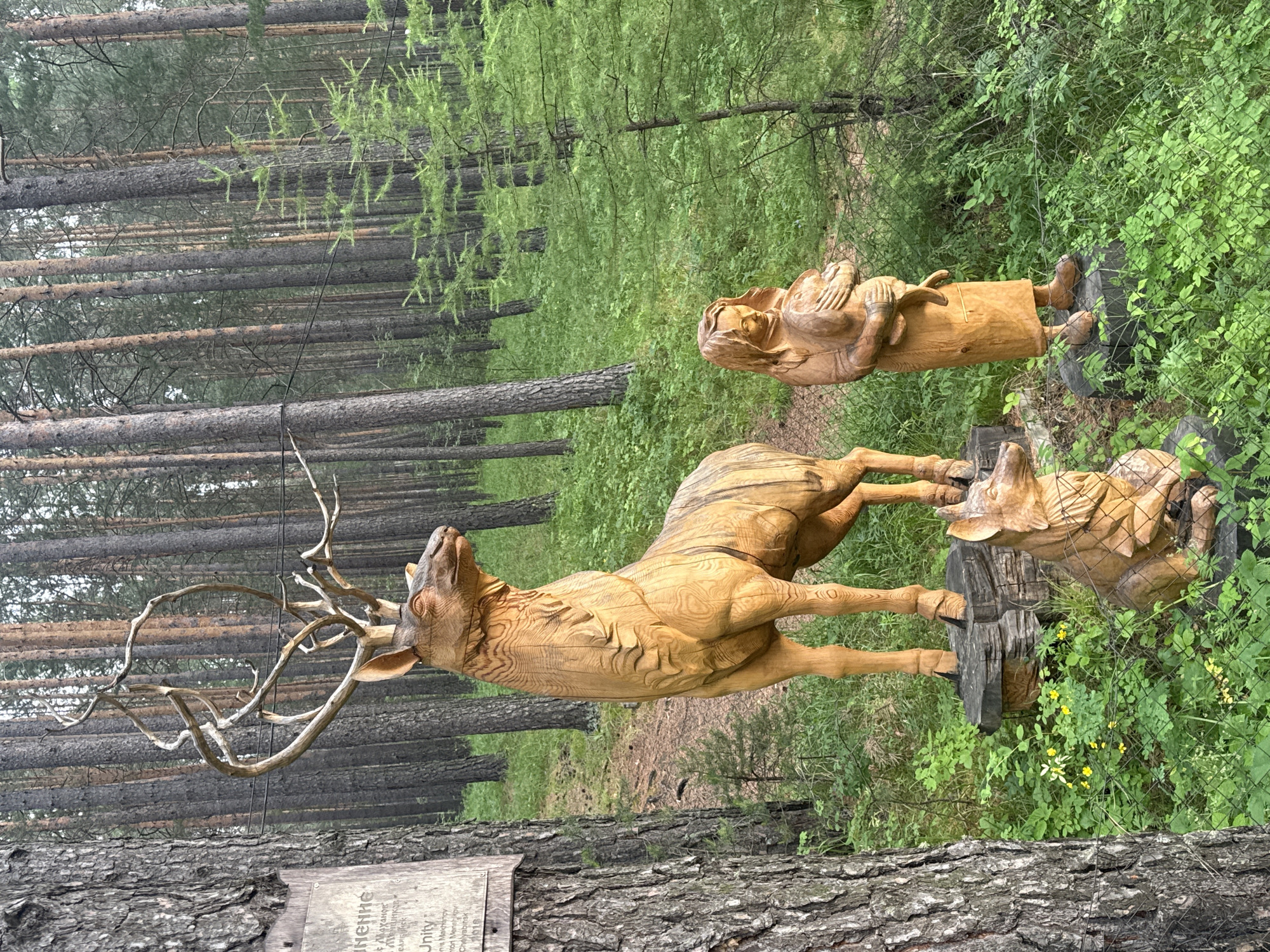 In the city of Savvateevka, Russia, an outdoor scene features a wooden sculpture of a majestic deer with large antlers, positioned on a rocky base. To the right of the deer stands a wooden sculpture of a woman holding a baby. In front of the deer, a wooden sculpture of a wolf is seated. These sculptures are situated in a forest environment with numerous tall pine trees. The ground is covered with green grass and small yellow flowers. A wooden sign is attached to the trunk of a large tree on the left side of the image. A wire fence is visible in the foreground, separating the viewer from the sculptures.