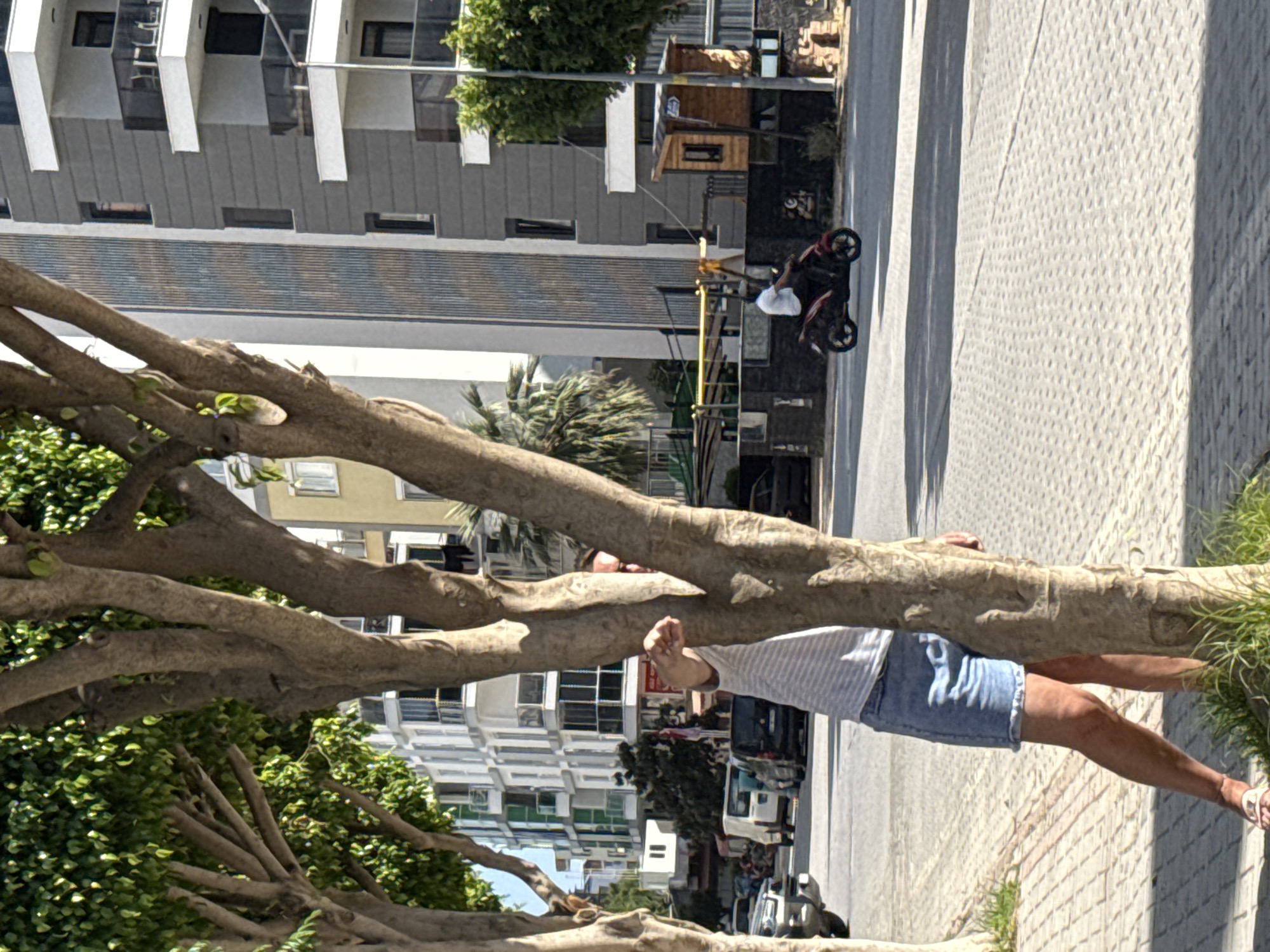 A sideways shot depicts a person, clad in a white shirt and denim shorts, reaching out from behind a tree in an urban environment. Their face is partially obscured by the tree's branches. In the background, buildings line the street, interspersed with parked cars and streetlights. A second person is seen riding a scooter down the road in the distance.