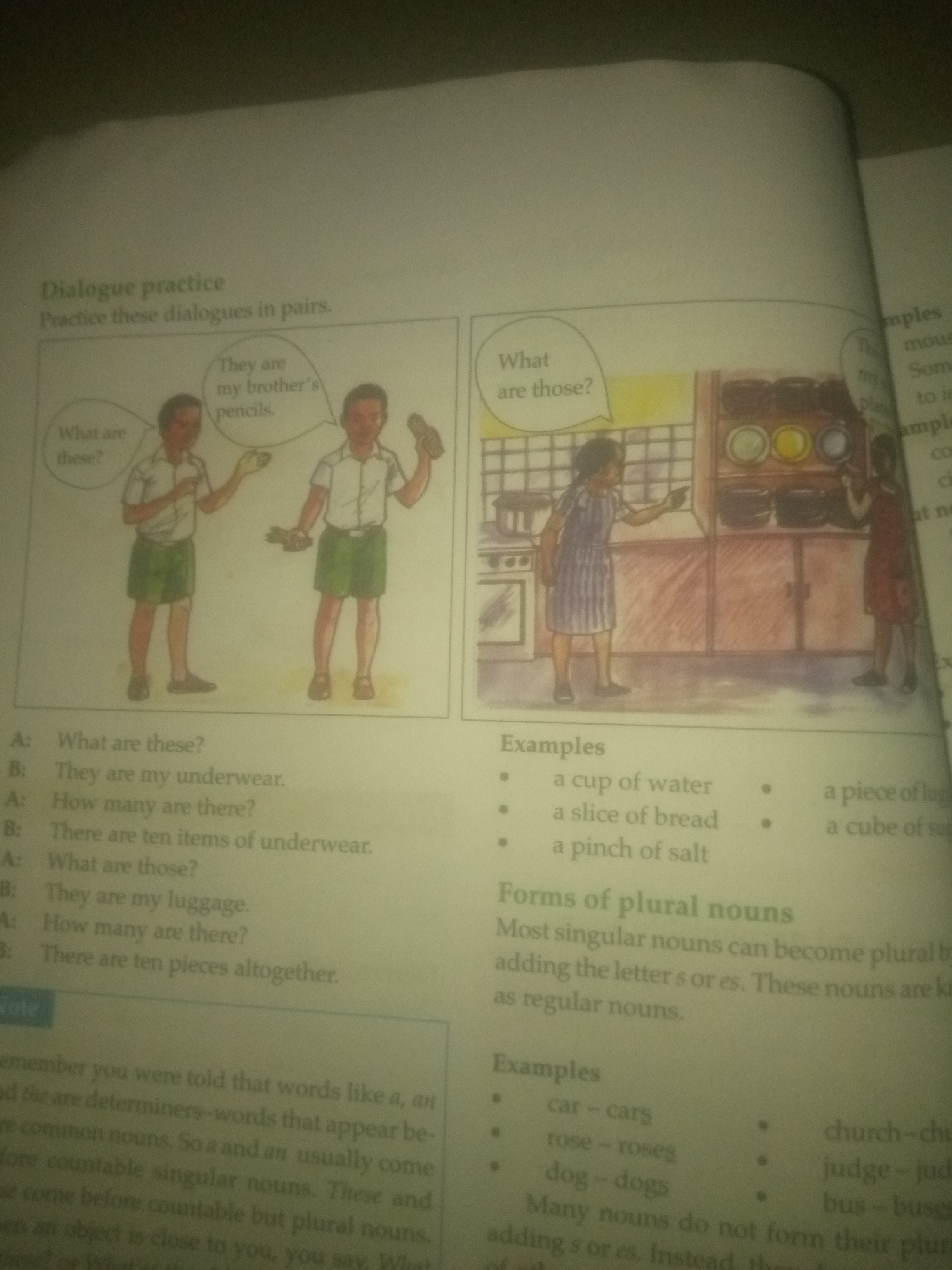 The image is a scanned page from a book, featuring text and illustrations related to English language learning. The page is divided into several sections.
At the top, there's a title "Dialogue practice" with the subheading "Practice these dialogues in pairs." Below this, there are two illustrations. The first illustration shows two young boys in school uniforms. One boy asks "What are these?", and the other replies "They are my brother's pencils." The second illustration depicts two young girls in a kitchen. One girl, in a striped dress, points towards some pots and plates on shelves, while the other girl, in a red dress, looks on.
Below the illustrations, there is a dialogue labeled "A:" and "B:" which seems to be an example dialogue about underwear. This is followed by another dialogue about luggage.
Further down, there are sections titled "Examples" with phrases like "a cup of water," "a slice of bread," and "a pinch of salt," alongside their plural forms like "a piece of luggage" and "a cube of sugar."
Another section is titled "Forms of plural nouns," explaining how singular nouns become plural by adding 's' or 'es' and referring to them as regular nouns. Examples of singular to plural nouns are given: "car - cars," "rose - roses," "dog - dogs," "church - churches," "judge - judges," and "bus - buses."
Finally, there's a "Note" section, which begins to explain determiners like 'a' and 'an' and their use with countable singular nouns and plural nouns.
There is no information in the image that relates to the city of Jauro Yinu, Nigeria.