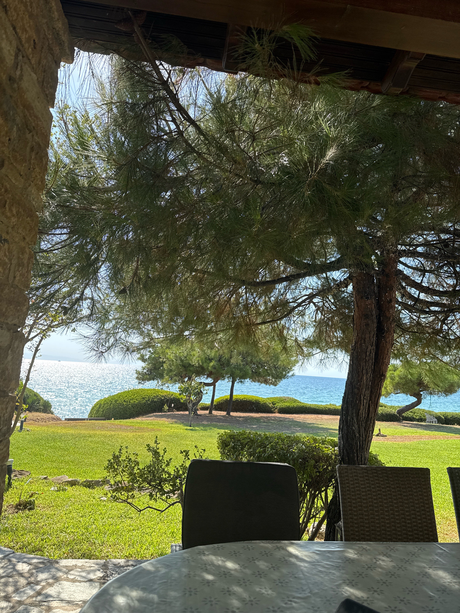 The image depicts a view from a shaded patio area, looking out towards the sea. In the foreground, the edge of a table covered with a white patterned tablecloth is visible, along with the backs of two outdoor chairs. To the left, a portion of a textured stone wall forms a boundary.
Beyond the patio, a lush green lawn slopes gently towards a vibrant blue sea. Several evergreen trees, including a prominent pine tree with its branches extending over the scene, are scattered across the landscape. The sea is bright and shimmering under a clear blue sky, with a small sailboat visible in the distance. The coastline is lined with manicured bushes.
The scene appears to be from a coastal resort or a private residence in Nea Moudania, Greece, given the typical Mediterranean vegetation and the view of the Aegean Sea. The atmosphere is serene and inviting, suggesting a relaxed outdoor setting. No people are present in the image.