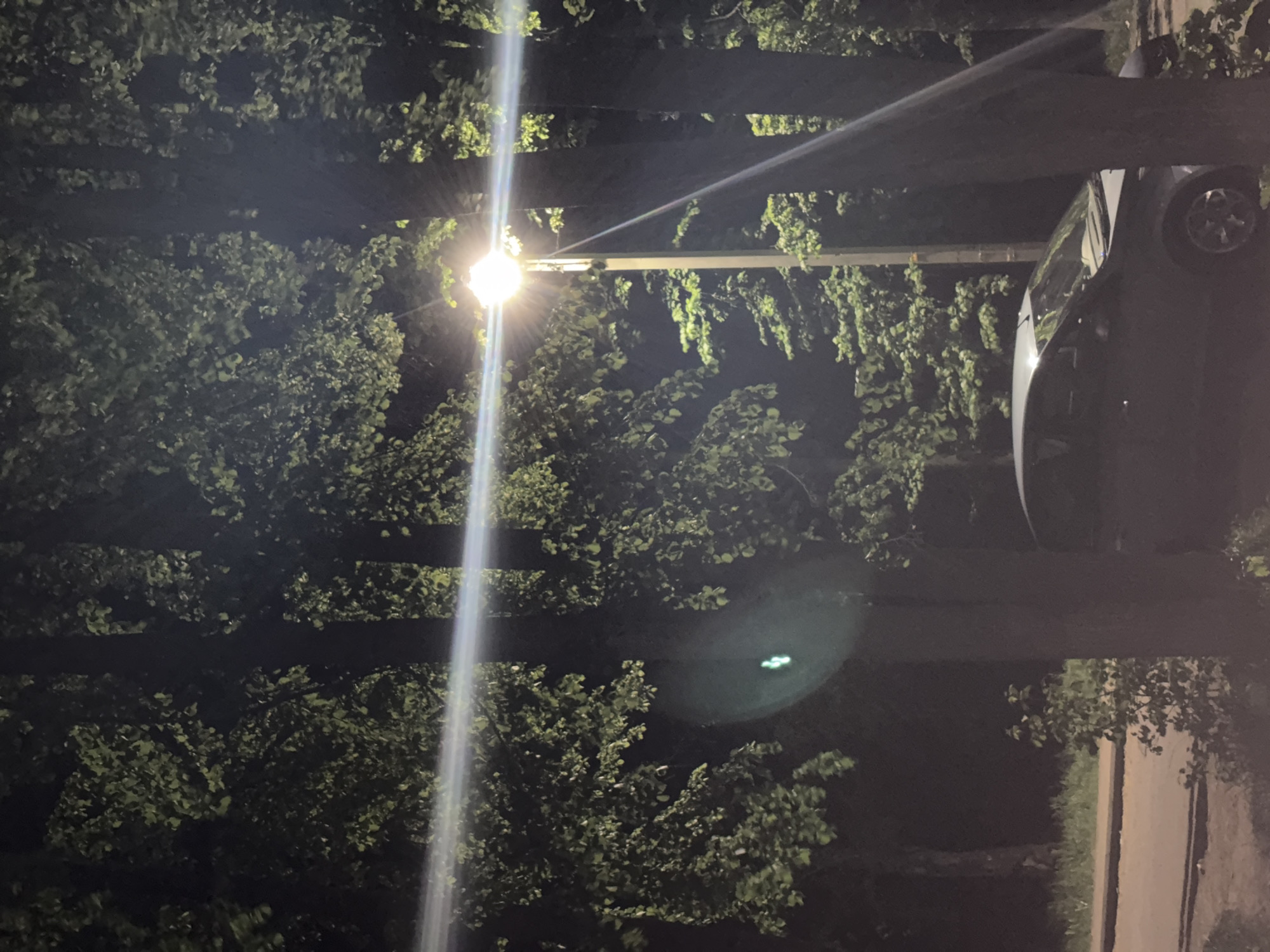 The image, taken at night, shows a street scene in Chaikovsky, Russia. A streetlight, prominently featured in the center, casts a bright glare with lens flare. The surrounding area is heavily wooded, with trees filling much of the frame. A car is parked on the right side of the image, partially obscured by a wooden structure or support beam. A sidewalk is visible alongside the car. The overall impression is of a dark, leafy environment illuminated by a bright, artificial light source.