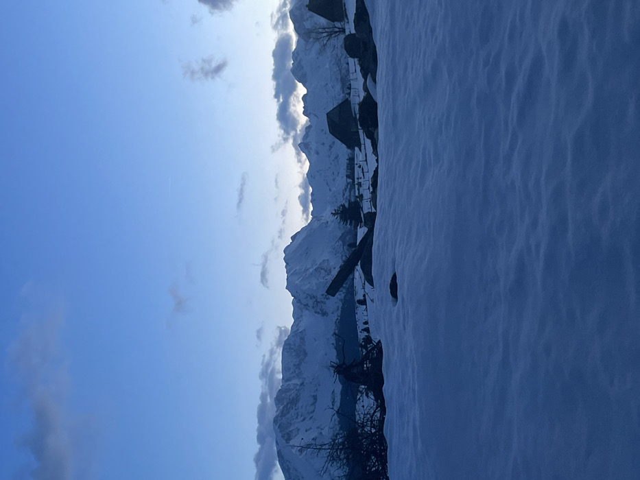 The image presents a winter landscape in Kovačka Dolina, Montenegro. The foreground is composed of an uninterrupted expanse of undulating snow, exhibiting a blue-white coloration. Several dark, irregular objects, consistent with rocks or partially buried debris, are visible within this snow layer. The midground features sparse, dark, bare shrubbery on the left, a large, dark, diagonally oriented timber or fallen log, and a solitary evergreen tree. Further into the midground, two dark-roofed, rustic structures, resembling cabins or barns, are situated on snow-covered terrain, with faint indications of fencing lines in their vicinity. The background is dominated by a continuous range of snow-capped mountains stretching across the horizon, displaying distinct peaks and contours. The sky above is a gradient of deep blue, lightening towards the mountain line, with scattered, thin, dark-grey clouds present. No individuals, animals, or discernable activities are present in the scene.