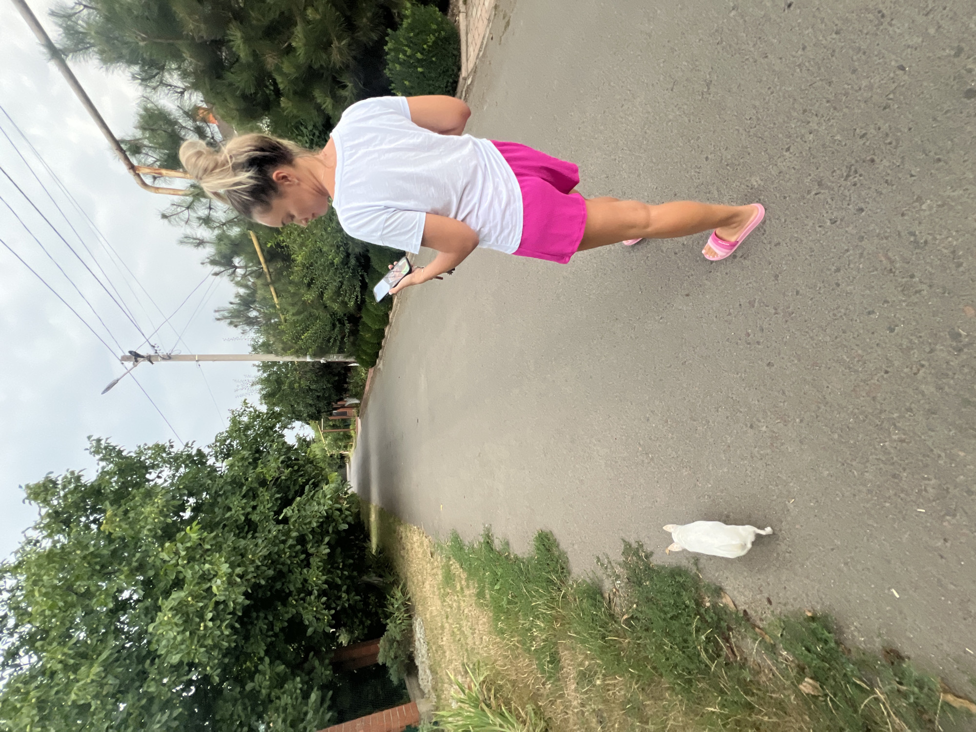 A blonde woman in a white t-shirt and bright pink shorts is walking down a paved road, looking at her smartphone. A small white dog is walking ahead of her, also on the road. The road is lined with green grass, trees, and bushes. Overhead, there are power lines and a utility pole. In the background, houses and more greenery are visible. The sky is overcast. The scene appears to be in a residential area on a cloudy day.