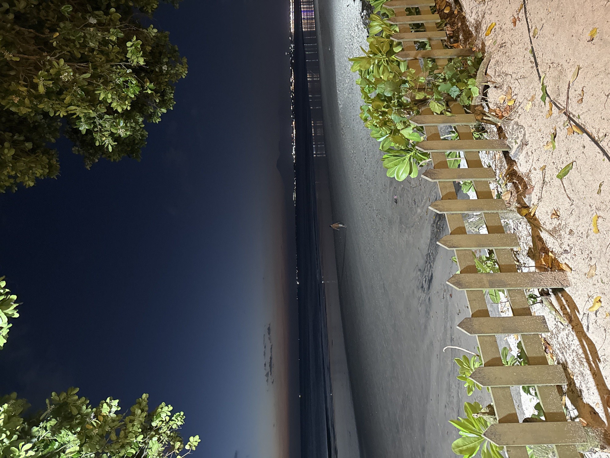 This image captures a serene nighttime scene at a beach in Kuta Selatan, Indonesia, viewed from an elevated perspective. The frame is dominated by a deep indigo sky that gradually lightens towards the horizon, hinting at the lingering glow of dusk or distant light pollution. Across the expanse of dark ocean, a distant coastline is visible, marked by a long, shimmering line of numerous artificial lights, suggesting a city or town.
In the immediate foreground, lush, vibrant green foliage, possibly from trees or large bushes, frames the upper left and lower left sections of the image (when oriented correctly). Some of this foliage displays small white flowers. A rustic wooden fence, with vertical arrow-shaped pickets, runs along the right side, separating a sandy or dirt path from the beach below. This path is scattered with fallen dry leaves and illuminated by an unseen light source, casting soft shadows. Green plants also grow around the base of the fence.
The middle ground features a wide stretch of sandy beach, appearing wet near the waterline, suggesting low tide or recent waves. A small, indistinct figure, possibly a person or an animal, is visible walking on this wet sand in the distance. The tranquil waters of the ocean gently meet the shore. The overall ambiance is peaceful and quiet, characteristic of an evening on a tropical coast. No visible text is present in the image.