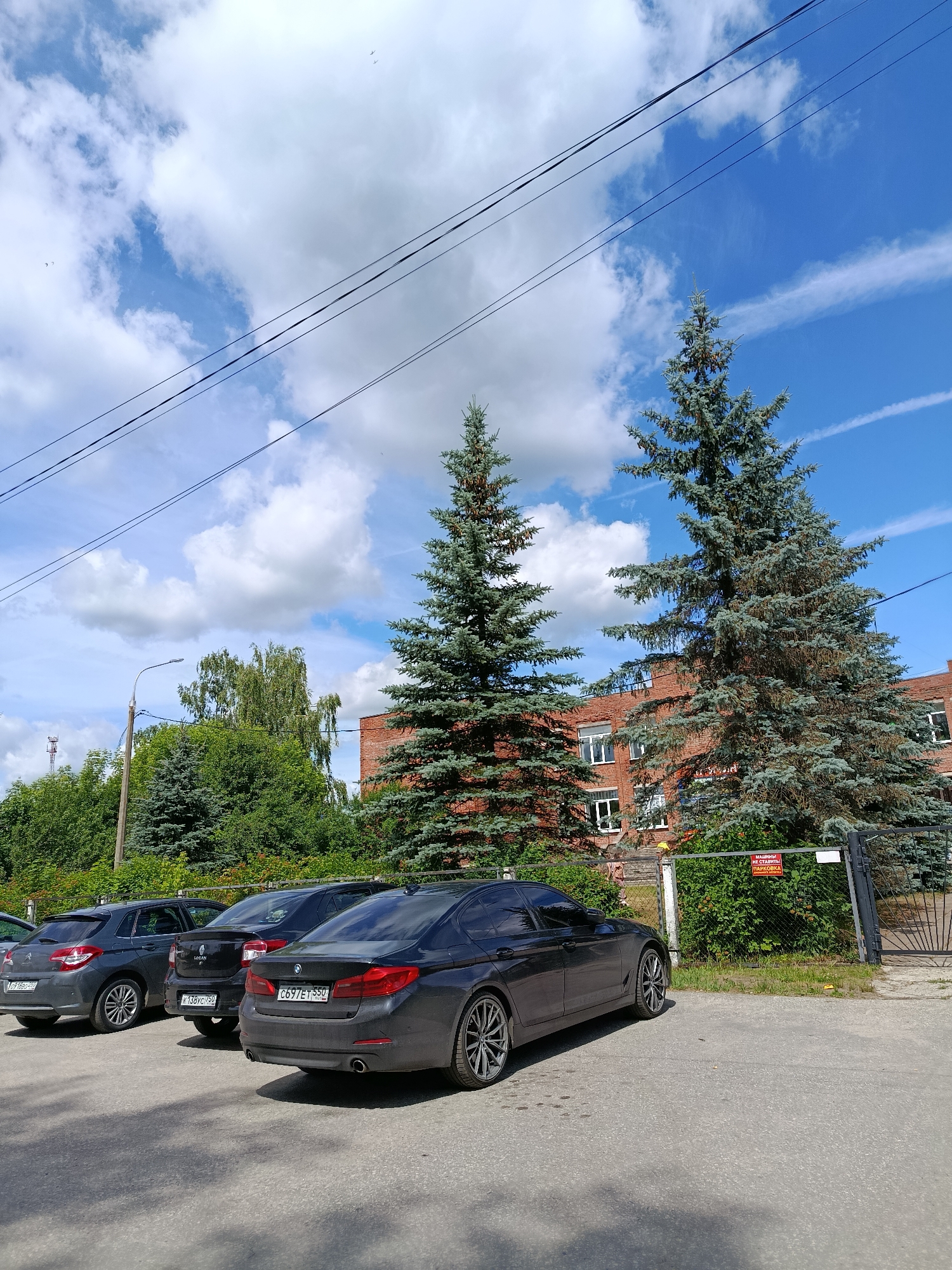In the city of Vereya, Russia, a gray BMW sedan is parked in the foreground on an asphalt surface. The car is facing towards the viewer's left, with its rear end prominent. In the middle ground, a dark SUV and another gray sedan are parked behind the BMW. The background features a red brick building with multiple windows, flanked by two large blue spruce trees. A fence separates the building and trees from the parking area. A red sign with white text is attached to the fence, and a gate is visible to the right of the sign. Dense green foliage and trees surround the building and fence. The sky above is blue with scattered white clouds, and power lines stretch across the upper portion of the frame.