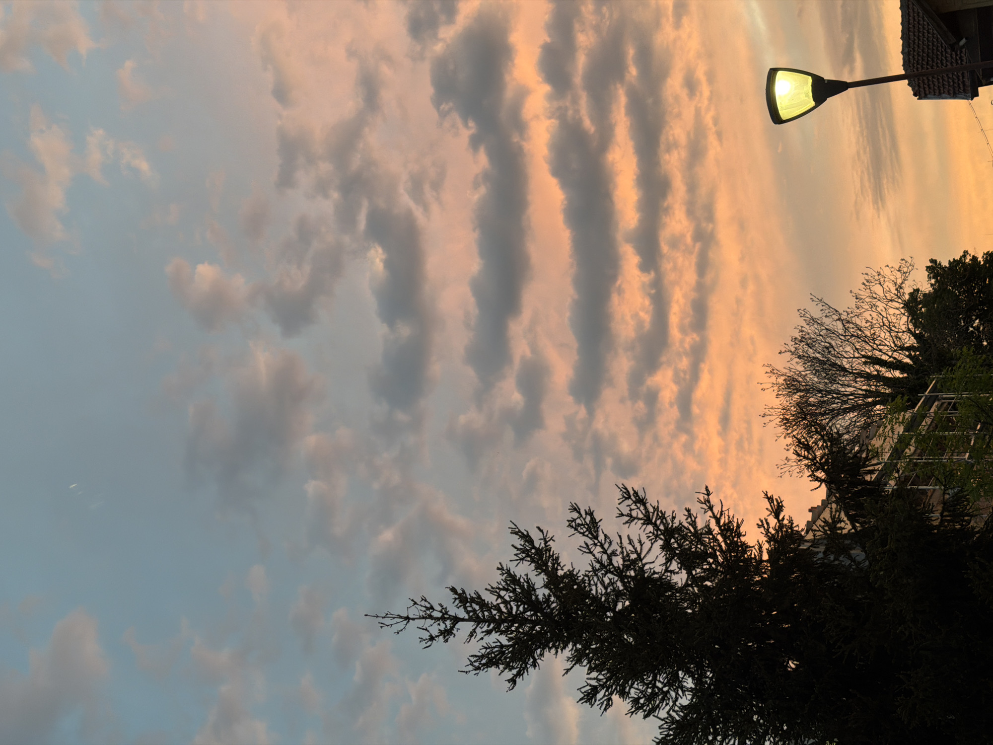 The image depicts a sky at dusk, likely in Lovech, Bulgaria. The sky transitions from a pale blue on the left to a warm orange-pink on the right, with cloud formations running horizontally across the image. These clouds are layered and textured, reflecting the colors of the setting sun. Silhouetted against the sky are trees, primarily evergreens with dense foliage. At the top right, a streetlight with its lamp illuminated is visible. The style of the streetlight suggests a residential or suburban setting. A portion of a building is also visible above the tree line.