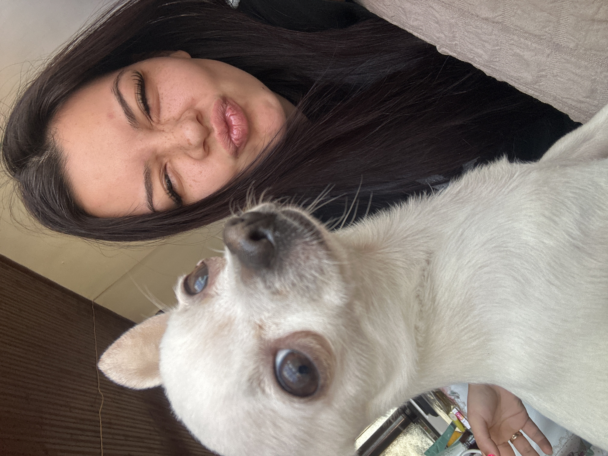 A selfie-style, slightly angled close-up shot shows a young woman and a white Chihuahua. The woman, with long dark hair, is positioned at the top of the frame. Her eyes are partially closed, and she is making a pouting facial expression. Below her is the dog, looking up at the camera. The dog is white with light brown ears and dark eyes. Its nose is pointed towards the camera. The background appears to be a mix of neutral tones, possibly a wall and furniture. A hand wearing a gold ring is visible on the bottom right. There is no evidence in the image to indicate the location as Chubra, Bulgaria.