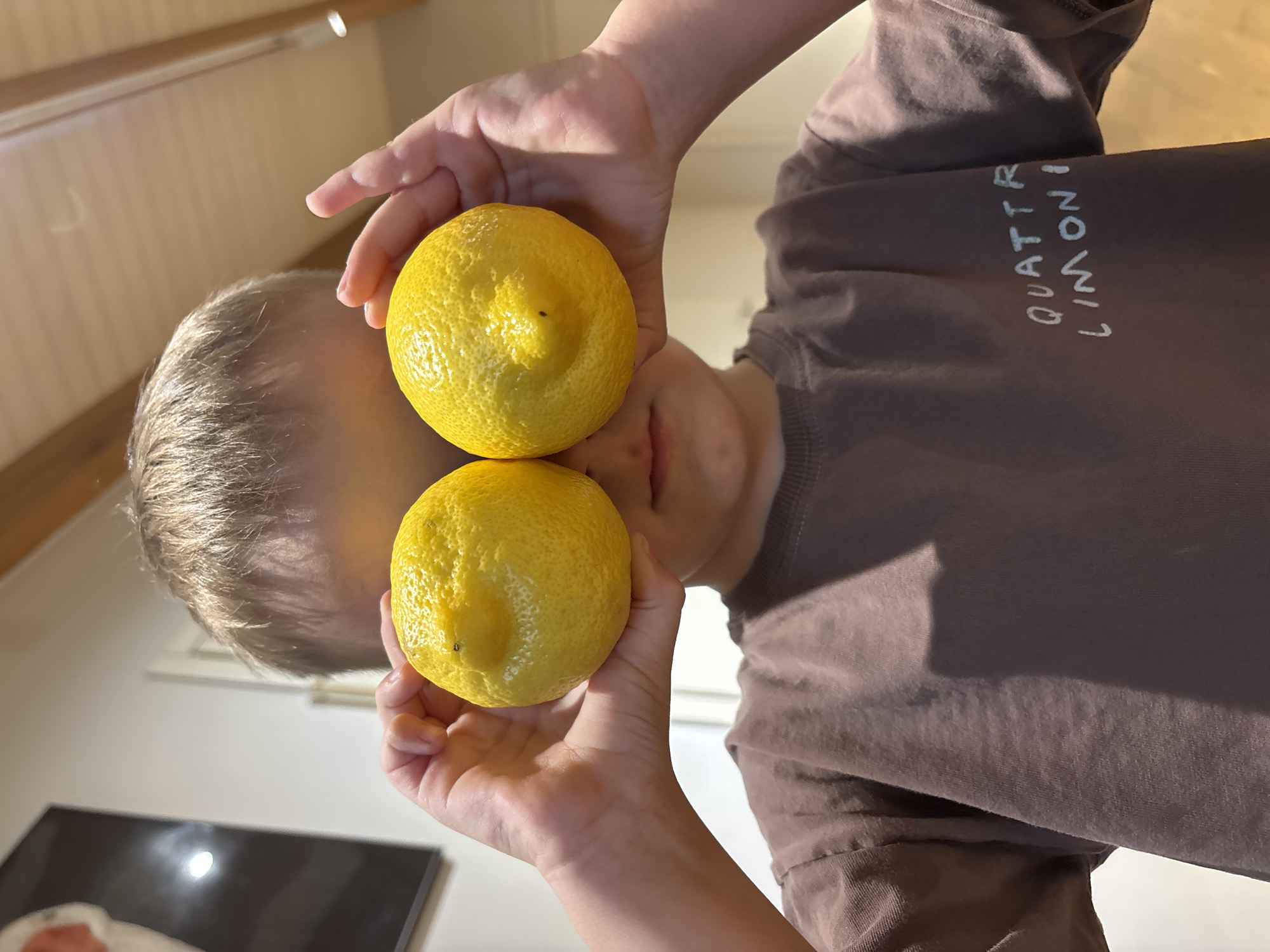 A child holds two lemons up to their face, obscuring their eyes. The child is wearing a brown t-shirt with white writing. The writing, on the right arm of the shirt, reads "QUATTRO LIMONI". The background shows a room with white walls, a white ceiling, and a dark picture frame on a white surface. The location is not discernable as the city of Chaikovsky, Russia from the image.