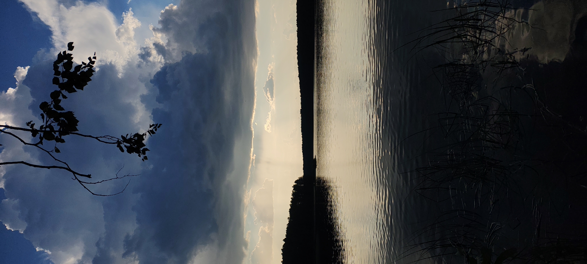 This vertical, eye-level, full shot captures a serene, natural landscape at Mednoye Ozero, Russia, during a period of dramatic weather. In the foreground, the dark, rippling surface of a lake is partially obscured by silhouetted reeds and grasses along the shoreline. The water reflects the sky and the tree line, creating a muted, almost abstract pattern.
The middle ground is dominated by the calm expanse of the lake, with the distant shoreline forming a dark, undulating silhouette of trees. The horizon line is clearly defined, separating the water from the sky.
The sky itself is a focal point, characterized by a stark contrast between dark, imposing storm clouds and patches of bright, illuminated sky. A branch of a deciduous tree, in silhouette, hangs from the top of the frame, adding a touch of foreground detail to the dramatic sky. Faint rays of light pierce through the clouds, suggesting a break in the storm or the lingering effects of recent rain. The overall atmosphere is one of a powerful, yet tranquil, natural scene, likely captured during the late afternoon or early evening.