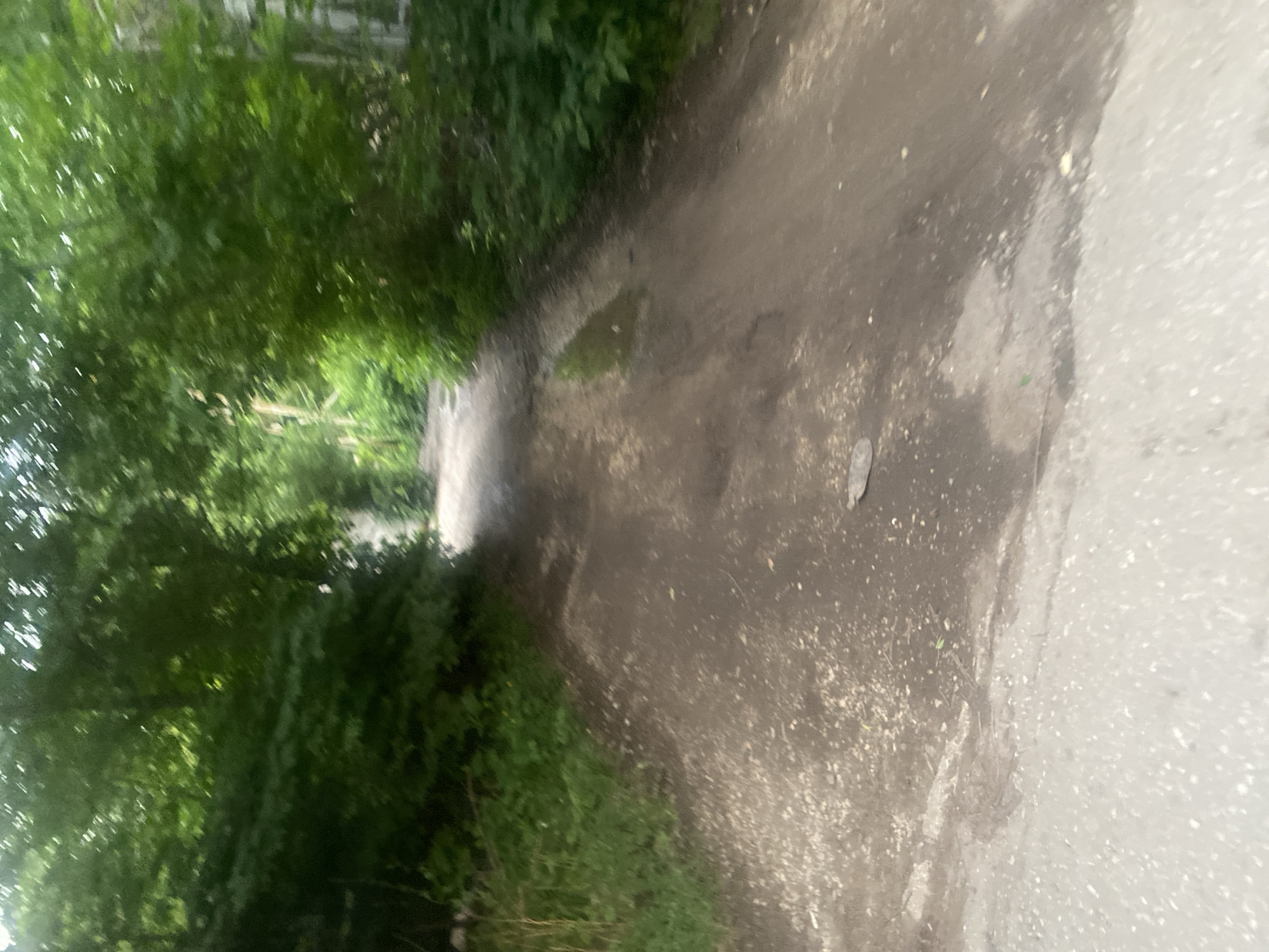 The image shows a dirt road or path surrounded by lush green trees and foliage. The road appears to be unpaved, with patches of mud and some debris scattered on its surface. Sunlight filters through the leaves, creating dappled light and shadows. The overall impression is of a natural, somewhat overgrown setting within an urban environment. Without further context, it is impossible to determine the specific location in Samara, Russia.