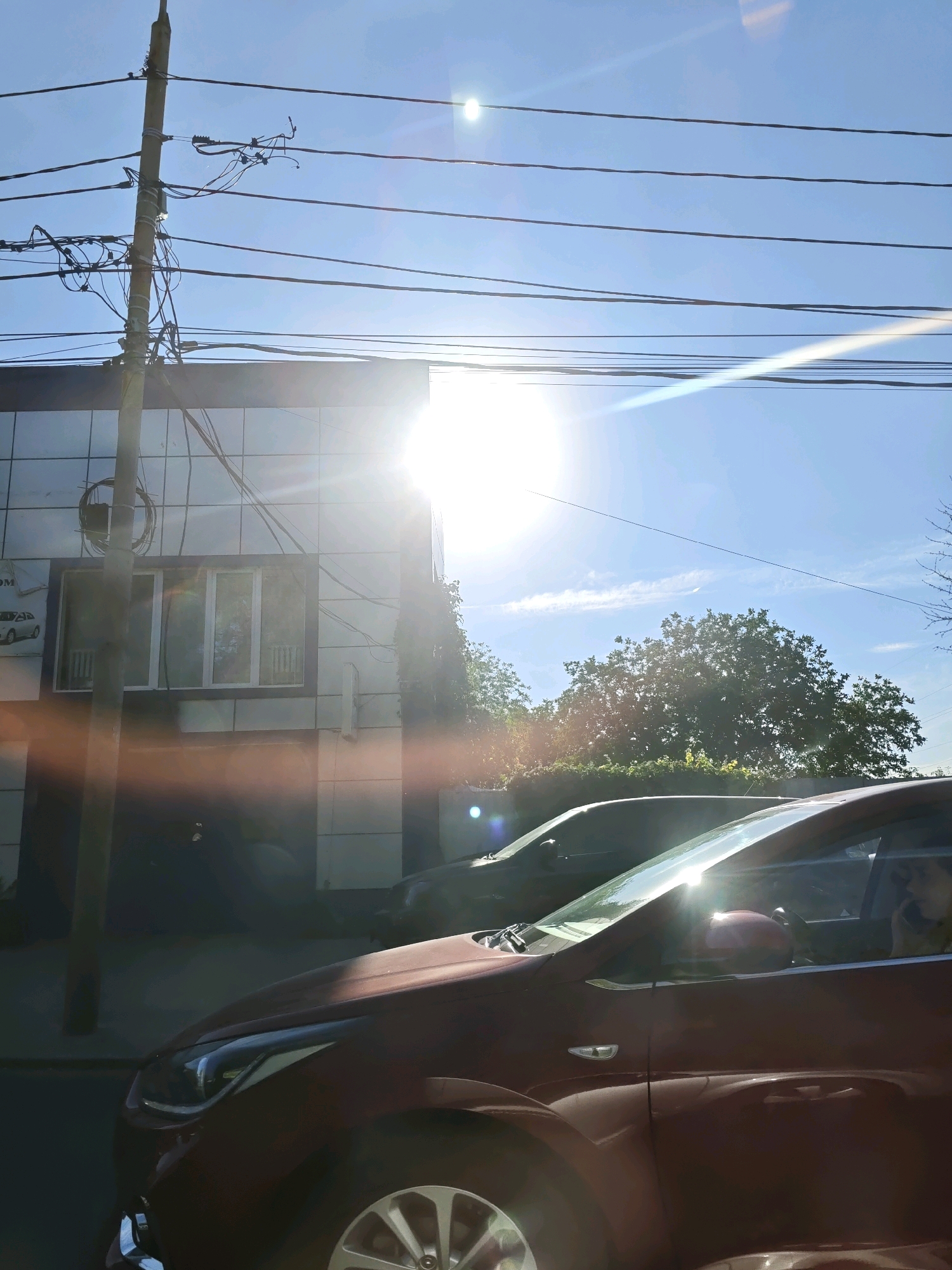 The image depicts a street scene in Rostov-on-Don, Russia, under a bright, sunny sky. The sun is high in the sky, causing lens flares and strong highlights throughout the image. In the foreground, the hood and front section of a reddish-brown car are visible, with its headlight illuminated. Behind this car, another dark-colored vehicle is parked or driving.
To the left, a modern building with a metallic facade and large windows is visible. A utility pole with numerous wires is situated in front of the building, casting a shadow. Some of these wires are taut and run horizontally across the frame, contributing to the urban overhead infrastructure.
Further back, lush green trees and foliage are present, indicating a possibly leafy or park-like area adjacent to the street. The overall impression is a typical urban environment on a clear day, with the strong sunlight being a dominant element affecting the visibility and contrast of the scene. There are no distinct individuals clearly identifiable in the frame, though a silhouette of a person might be present inside the reddish-brown car.