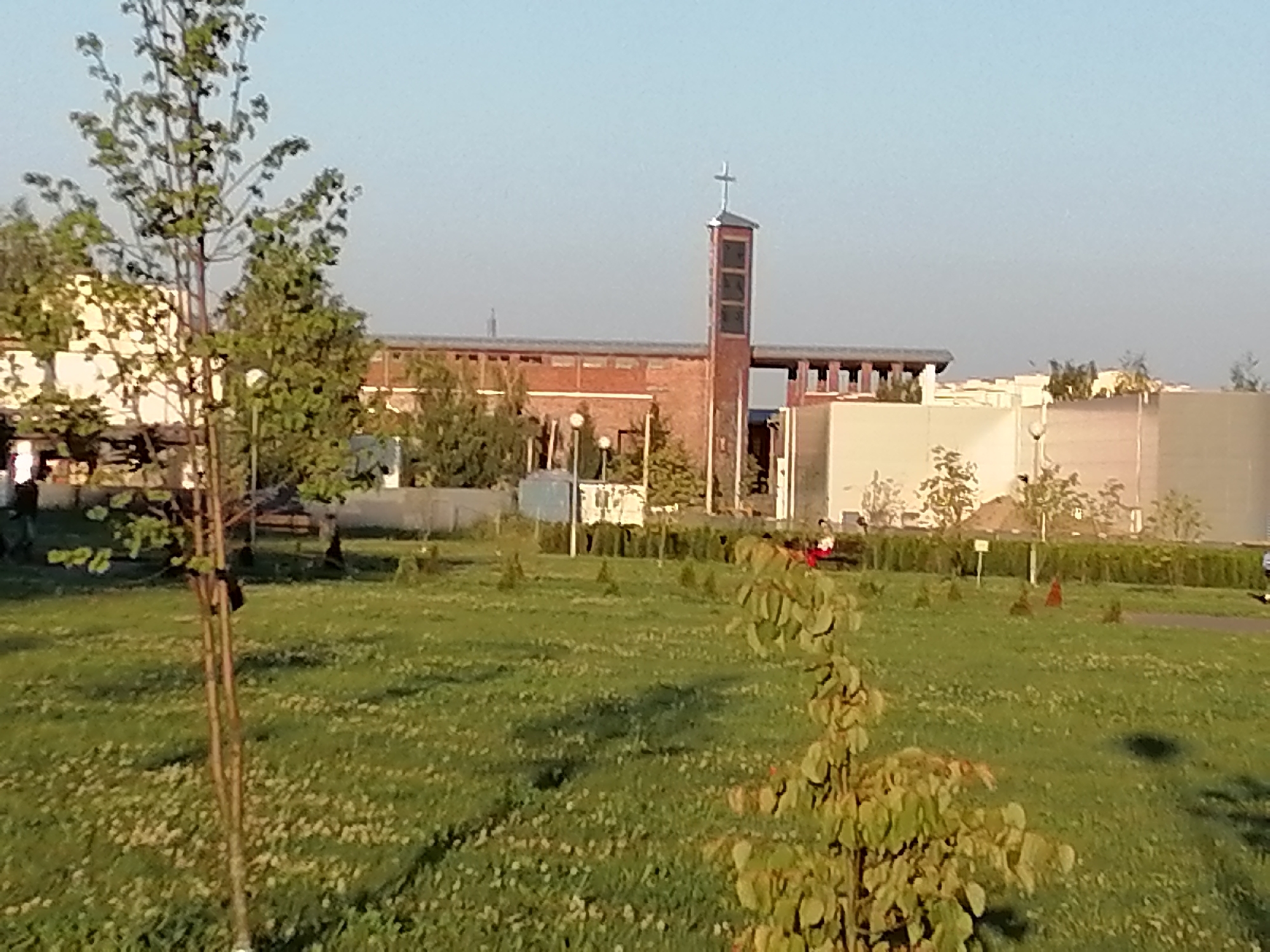 The image captures a clear, slightly hazy view of a modern church building in Hrodna, Belarus, under a bright, pale blue sky. The church features a prominent, brick-clad bell tower topped with a cross, and a long, low-lying brick structure with a dark roof. To the right of the bell tower, a section of the church appears to be white. The building is situated behind a well-maintained grassy area dotted with small trees and some flowering plants. In the foreground, a young tree with thin branches and green leaves stands to the left, while another bush with textured green leaves occupies the right side of the frame. The overall environment suggests a peaceful, open space, possibly a park or the grounds surrounding the church. No specific actions or interactions are clearly discernible.
