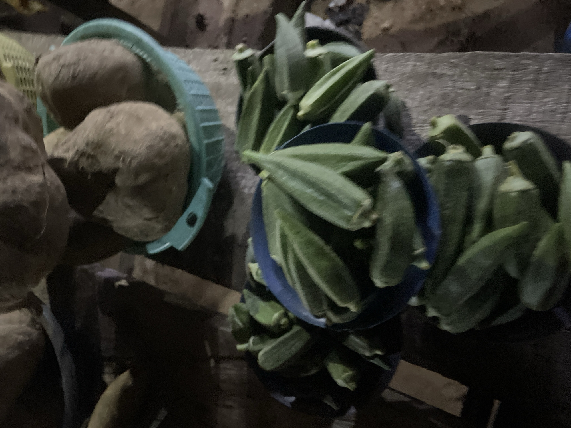 In a dimly lit outdoor market stall in Lokoja, Nigeria, okra pods are piled high in dark blue bowls and a teal plastic basket. The okra is a vibrant green, some pods appearing plump and others more slender. In the background, large, brown, root vegetables, possibly yams, are visible. The surfaces are rustic, suggesting wooden crates and worn surfaces common in Nigerian markets. The overall impression is one of fresh produce ready for sale.