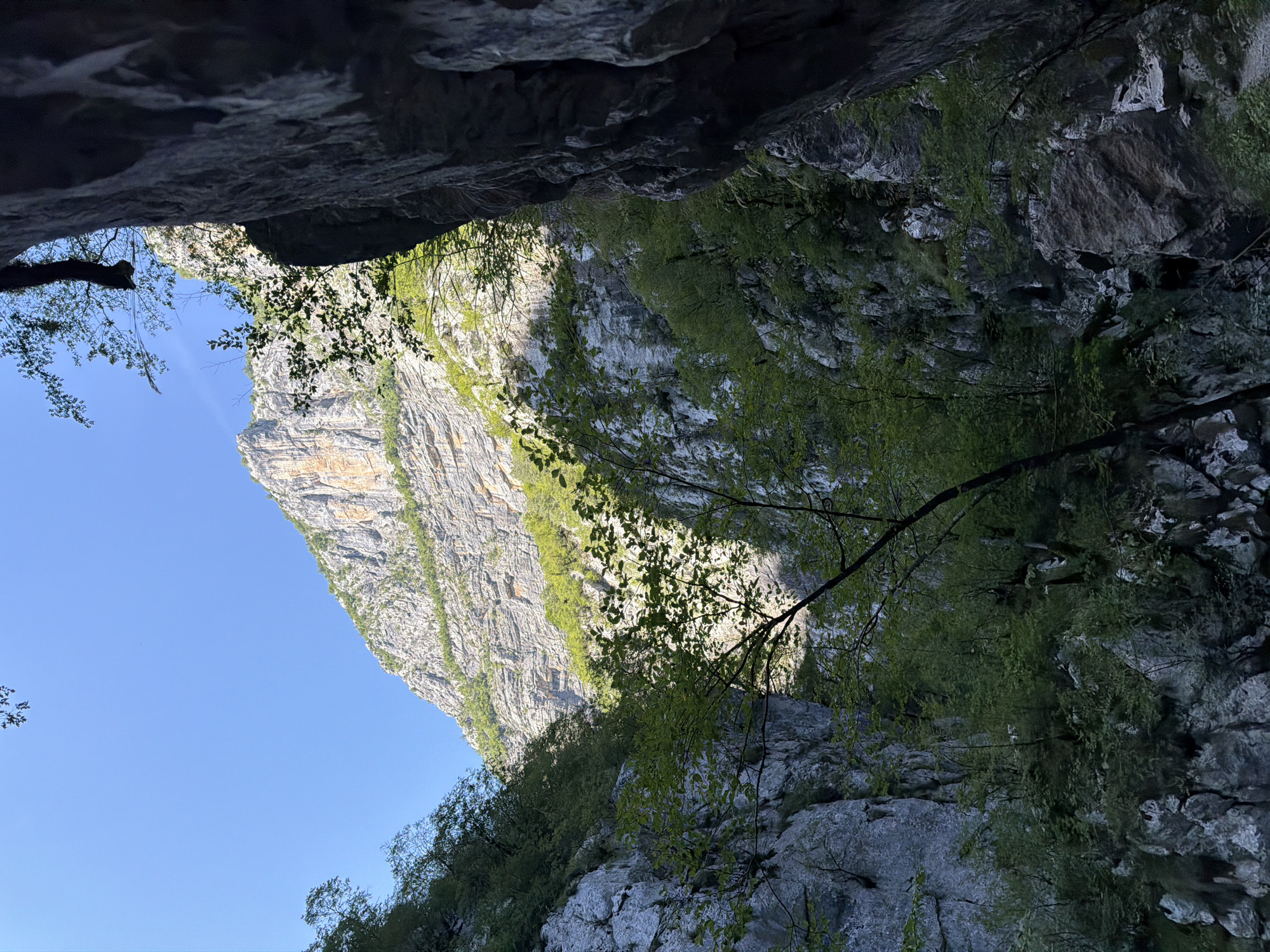 The image depicts a view of a deep canyon, likely within the city of Lazba, Montenegro. The canyon walls are steep and rocky, with lush green vegetation growing on the slopes and trees casting shadows. The sky is a clear, bright blue. In the foreground, large, dark rock formations are prominent, creating a sense of depth and enclosure. Sunlight streams into the canyon, illuminating sections of the opposite cliff face, which shows distinct geological layers. The scene is natural and rugged, with no visible signs of human activity or infrastructure.