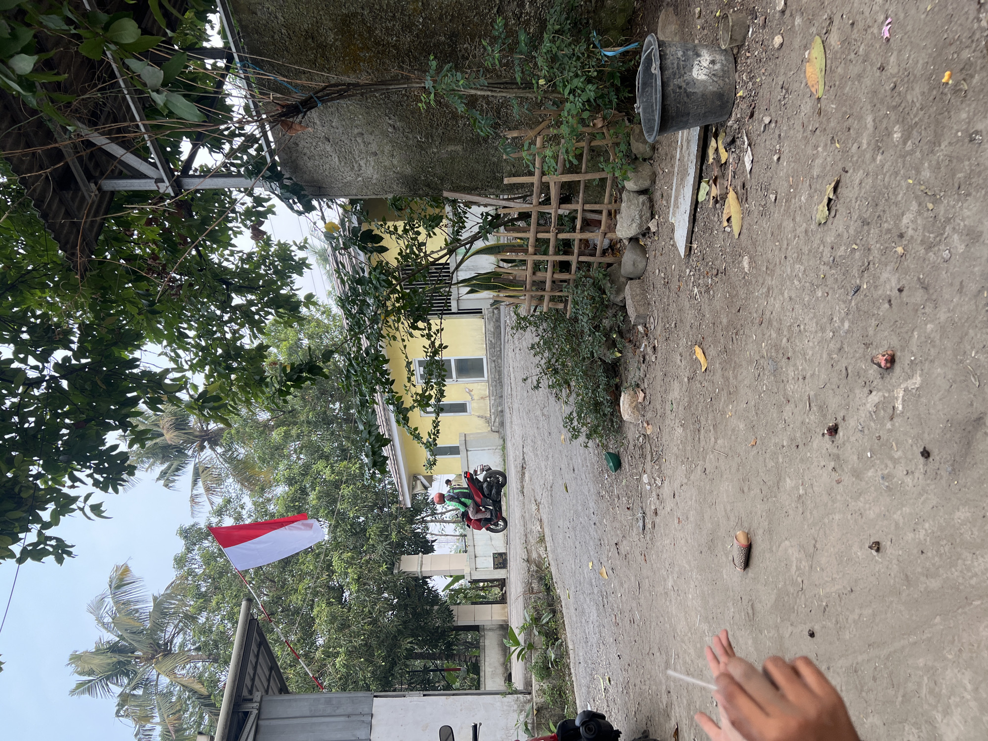 In Klapanunggal, Indonesia, a red motorcycle carrying a person wearing a green jacket and an orange helmet is parked on a dirt road. The person is holding a stick. The motorcycle is positioned in front of a yellow house with white trim and barred windows. A large tree with dense green foliage is situated between the motorcycle and the house. To the left of the motorcycle is a white building with a silver roof. A red and white Indonesian flag flies from a pole attached to the silver roof. In the foreground, a person's hands are visible, holding a white stick. The ground is covered in dirt and scattered with leaves and debris. A wooden fence with a few plants behind it stands to the right of the house, next to a rough concrete wall. A large black bucket and a smaller grey bucket are on the ground near the wall. The sky is overcast.