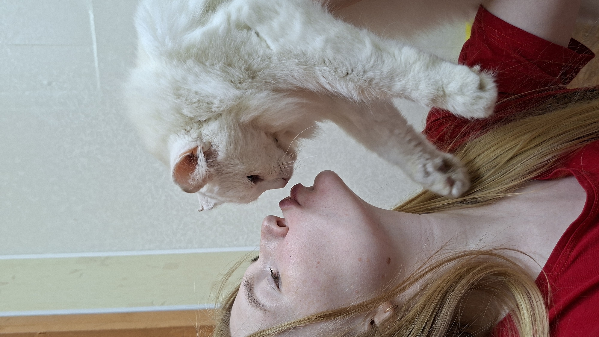 A young woman with long blonde hair and freckles is leaning forward, puckering her lips as if to kiss a fluffy white cat. The cat, positioned higher than the woman, is leaning down towards her, its front paws reaching out. The background consists of a light-colored, textured wall and a wooden doorframe, suggesting an indoor setting. The overall scene captures an intimate moment between the woman and the cat. The location is not specified in the image itself.