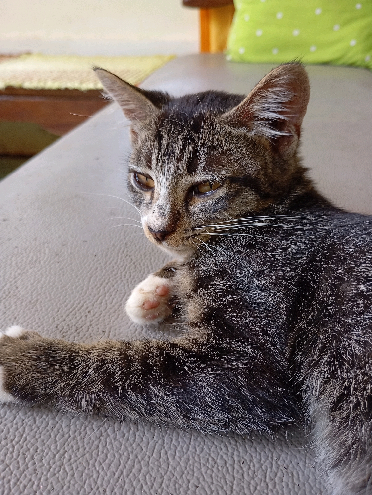 The image shows a close-up of a tabby kitten lying on a textured grey surface, possibly a sofa or bench. The kitten's fur is a mix of brown, black, and grey stripes. Its eyes are a light brown color, and its ears are pointed with tufts of white fur. One of its front paws is visible, with pink paw pads and white fur on the toes. In the background, a portion of a wooden table and a bright green cushion with white polka dots are slightly out of focus. The lighting suggests it is daytime, with natural light illuminating the scene. There is no indication of the specific location within Balikpapan, Indonesia.