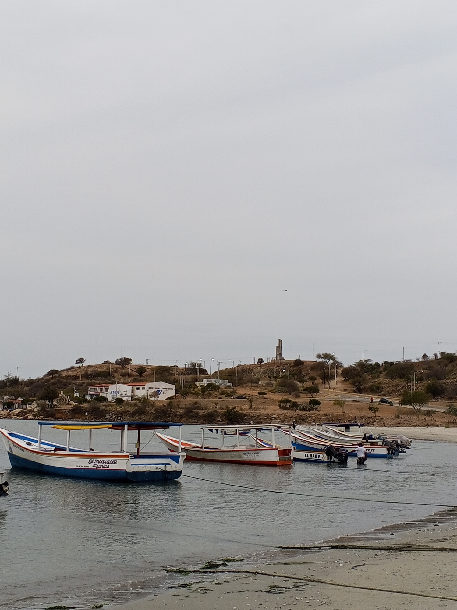 The image captures a coastal scene in Juan Griego, Venezuela. Several fishing boats are moored in shallow water along the beach. The boats display distinct markings, including names such as "El Imparable Mamas," "El Baby," and others partially obscured. A person stands in the water near the boats. The shoreline is visible in the foreground. Beyond the water, there's a landscape with buildings, trees, and a monument on a hill. The sky is overcast. The overall scene depicts a typical fishing village setting in a coastal location.