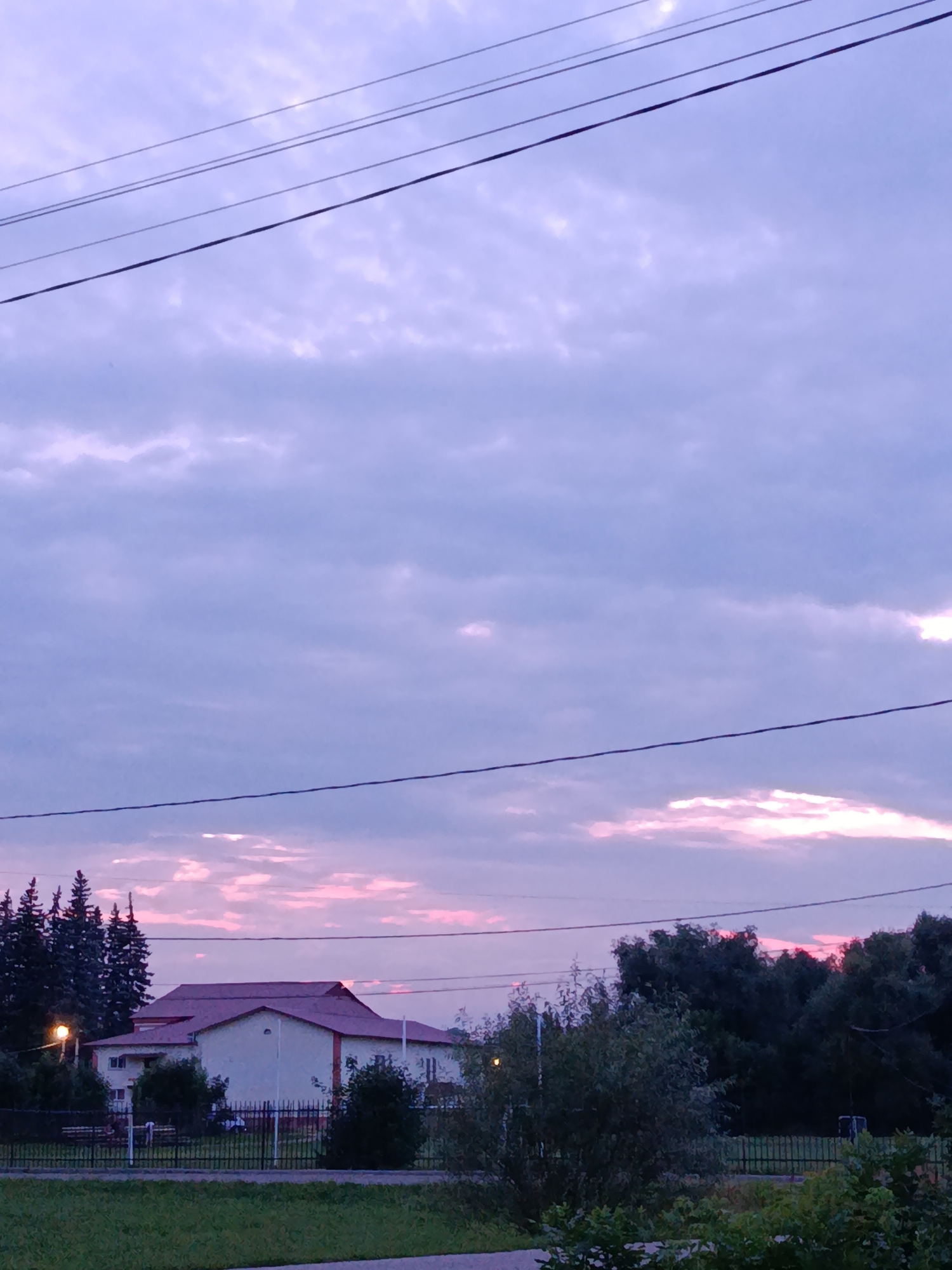 The image captures a twilight scene with a pale purple sky filled with scattered clouds, some of which are tinged with pink. Several parallel power lines stretch across the upper portion of the frame. Below the sky, a long, light-colored building with a reddish-brown roof is visible. The building is situated behind a black metal fence. To the left of the building, a cluster of tall, dark green coniferous trees stands. Lush green grass and bushes are present in the foreground, with more dense trees and foliage to the right of the building. A street lamp is visible on the left side of the image, casting a yellow light. The scene appears to be set in a semi-rural or suburban area.