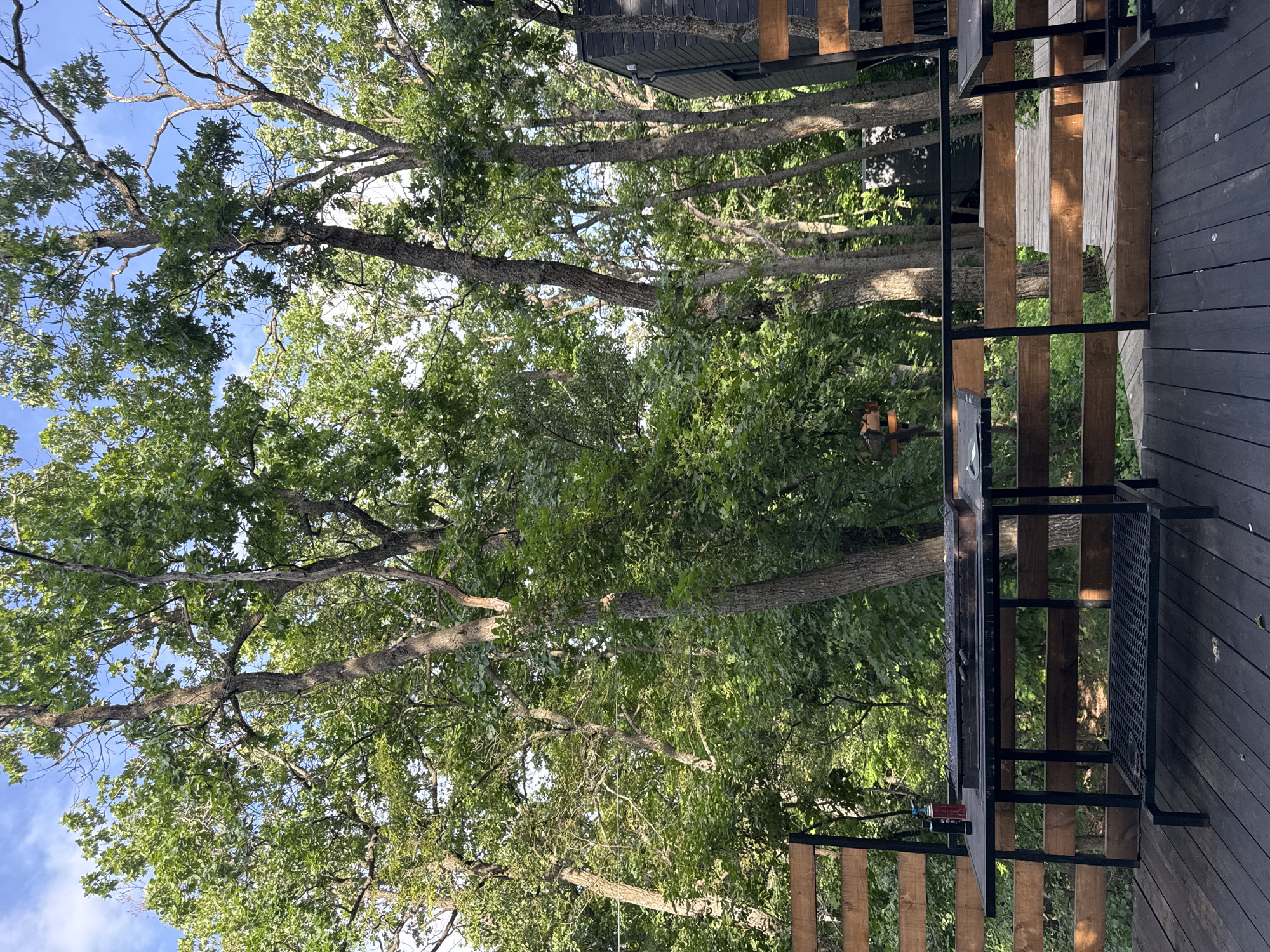 This image depicts an outdoor deck area with a grill and surrounding trees. The deck is made of dark wood planks and has a wooden railing. A black metal grill with a cooking grate is positioned on the deck. On the left side of the grill, there are two aerosol cans, one red and one blue and black. In the background, numerous trees with green foliage are visible, suggesting a natural or forested environment. The sky, visible through the trees, is blue with some white clouds. Part of a dark-colored building with a window and a wooden element is visible on the right side of the image. The scene appears to be a recreational or residential outdoor space. There are no people or animals visible in the image. The location is stated to be in Ust-Kurdyum, Russia.