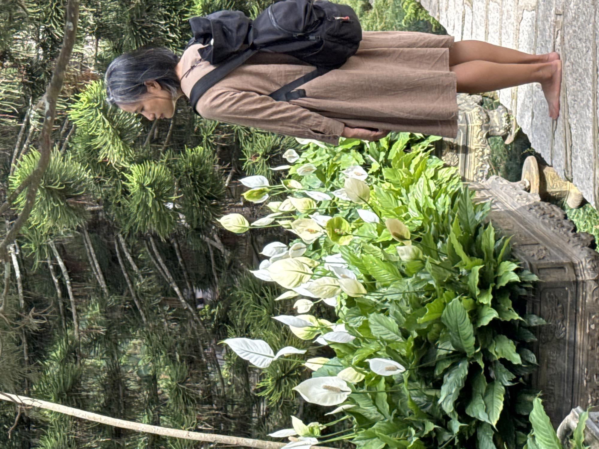 A woman with short, graying hair stands on a stone pathway in Da Lat, Vietnam. She is facing to the right, looking towards a lush green area filled with white peace lily flowers and dense foliage. She is wearing a long, loose, brown dress and a black backpack. The pathway is made of light-colored stones, and behind the flowers, tall, dark green pine trees dominate the background. The scene appears to be in a garden or park setting, possibly part of a botanical garden or a tourist attraction. The lighting suggests it is daytime, with soft shadows indicating diffused sunlight.