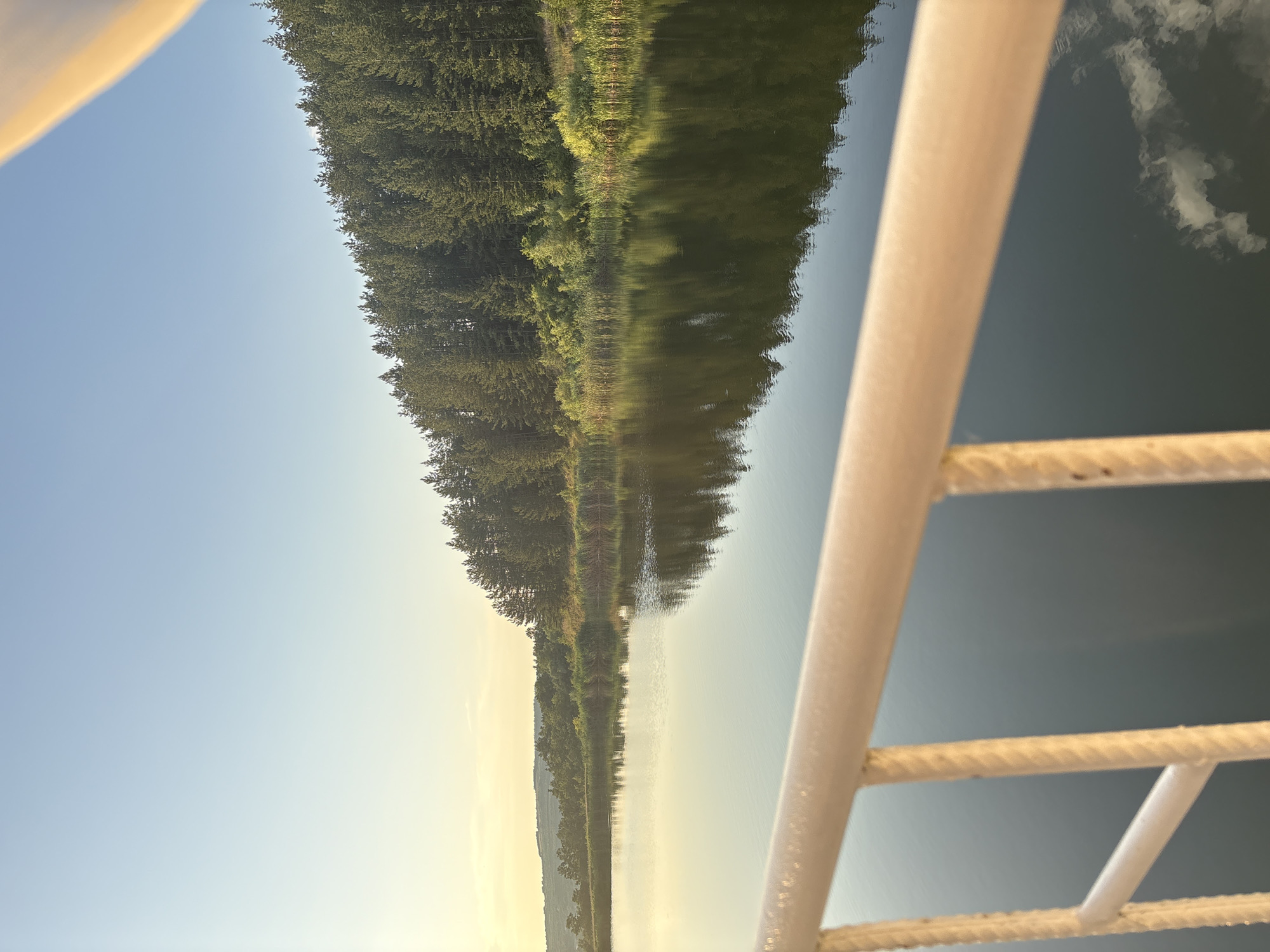 The image depicts a serene lake scene in Skalsko, Bulgaria, during the golden hour. The foreground is partially occupied by a white railing with a rope detail, suggesting the viewpoint is from a boat or a pier. The lake itself is calm, reflecting the dense forest that lines its far bank. The trees are predominantly coniferous, creating a dark green silhouette against the soft, pale blue sky. The water's surface mirrors the trees and the subtle hues of the sunset, with hints of pale yellow and orange near the horizon. Some reeds and lighter green foliage are visible at the water's edge, interspersed with the trees. The overall atmosphere is tranquil and natural.