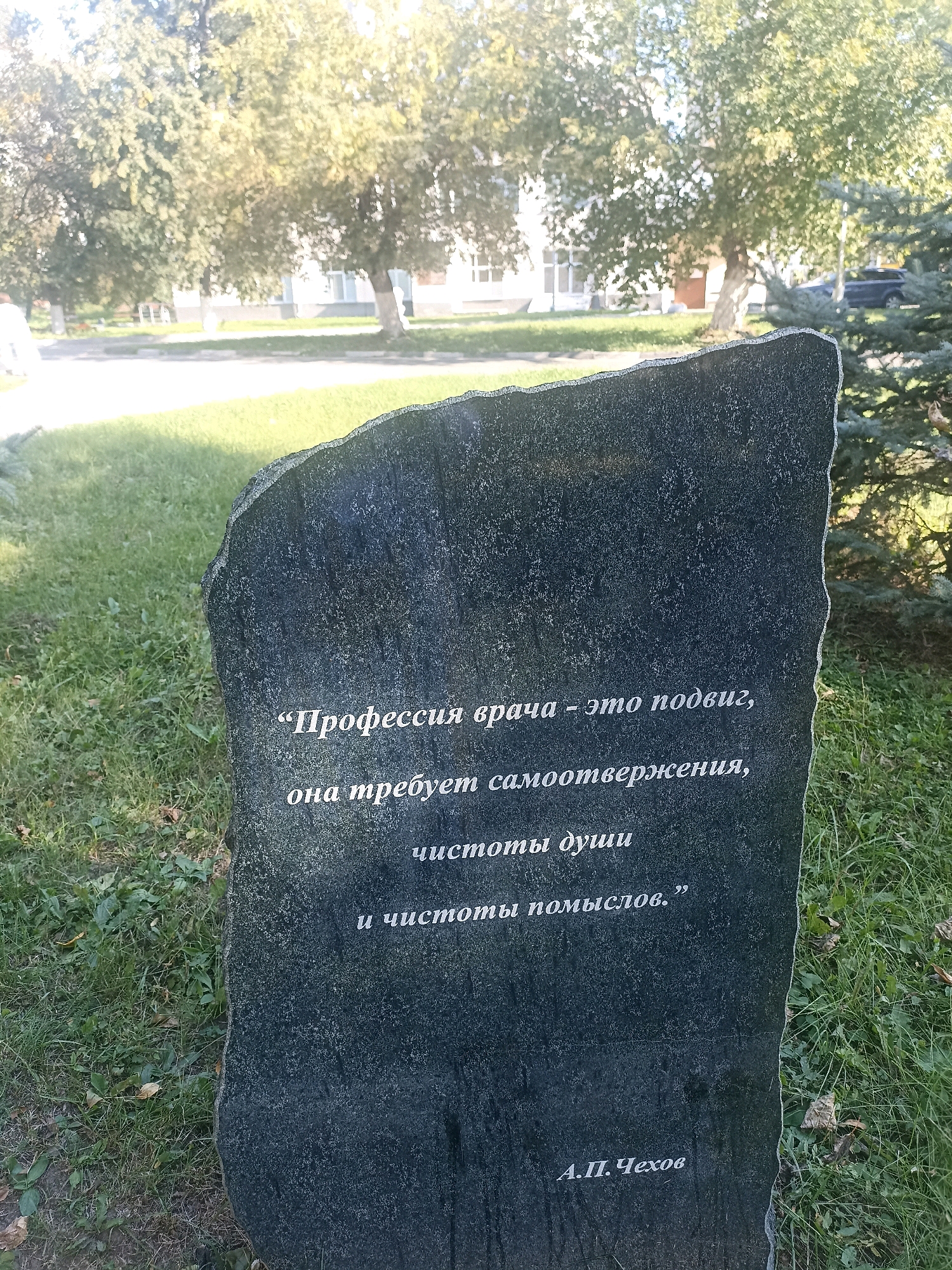The image depicts a dark, rough-hewn stone monument with text inscribed in white. The monument is situated outdoors on a grassy area, with trees and a building visible in the background. The text on the monument reads: "Профессия врача - это подвиг, она требует самоотвержения, чистоты души и чистоты помыслов." followed by "А.П. Чехов". This translates to: "The profession of a doctor is a feat, it demands self-sacrifice, purity of soul, and purity of thoughts." and "A.P. Chekhov". The inscription is attributed to Anton Chekhov. The setting suggests a public space, possibly a park or the grounds of a medical institution. There are no people or specific landmarks visible that would definitively place this monument in Novosibirsk, Russia, or any other specific city. The overall scene is one of quiet reflection and remembrance.