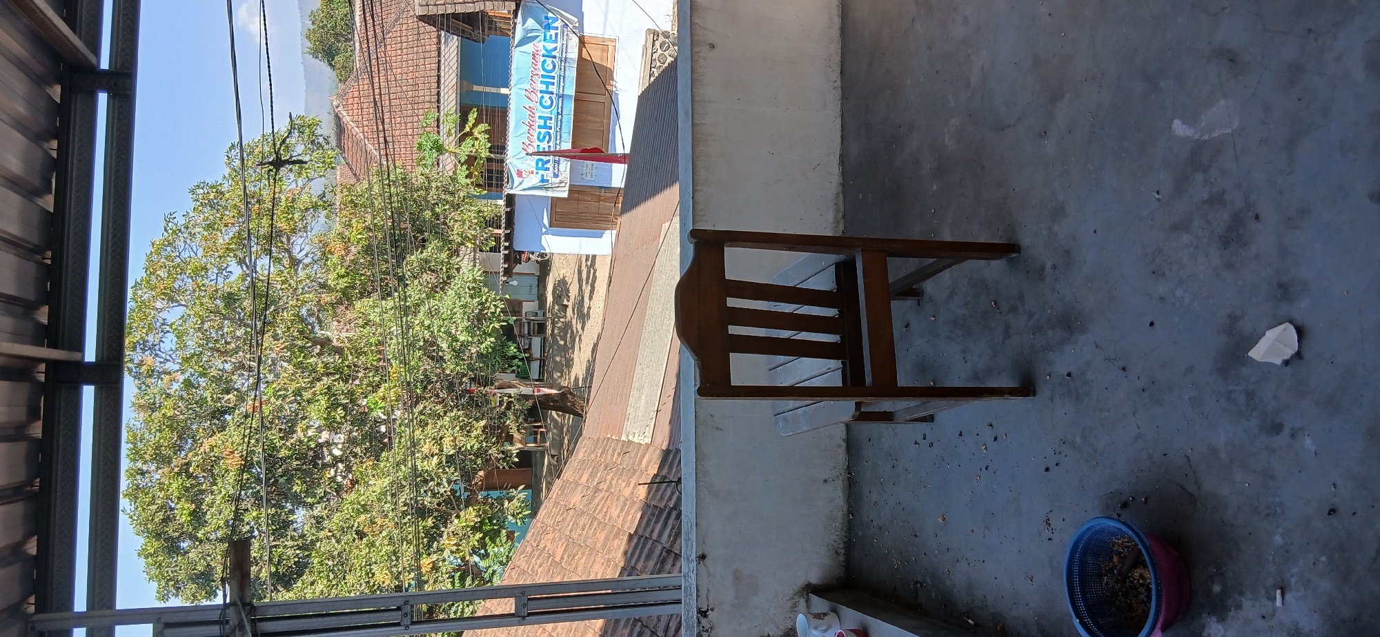 The image depicts a view from a covered outdoor area looking out onto a street scene in Tenggarang, Indonesia. In the foreground, a plain wooden chair stands on a concrete floor. To the left of the chair, on the floor, is a blue plastic basket containing what appears to be food scraps. Further to the left, on a low ledge, are two ceramic mugs. The background features a large, leafy tree, several buildings with terracotta tile roofs, and a blue building with a banner advertising "Berkah Bersama FRESH CHICKEN." A red and white Indonesian flag is visible near the blue building. The overall impression is one of a residential or small business area under bright daylight.