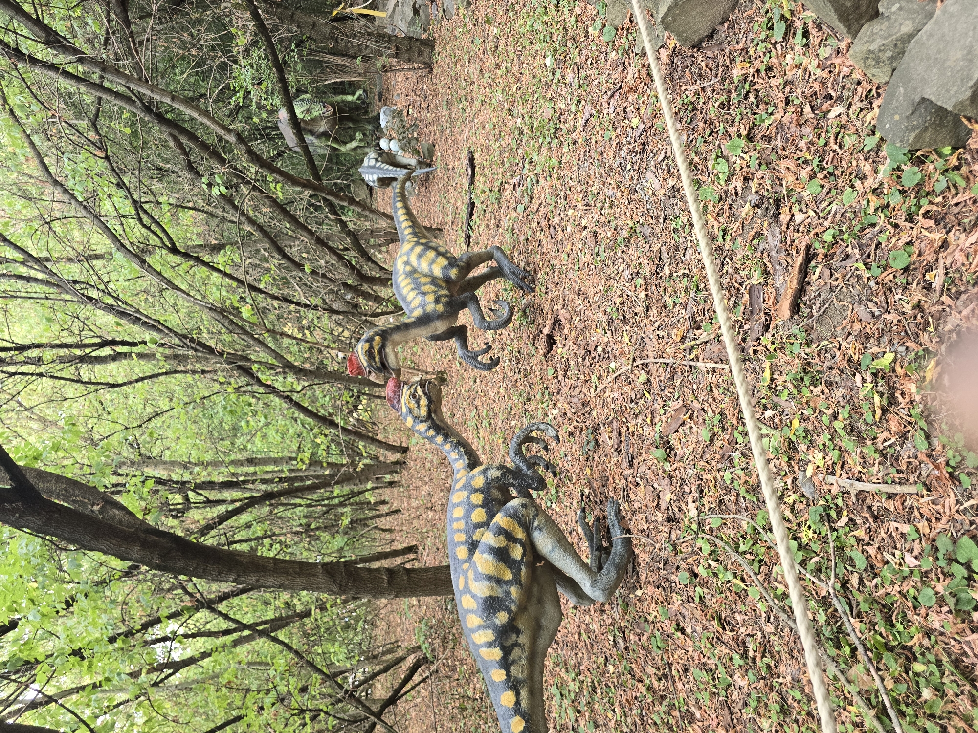 In Vyškov, Czechia, two lifelike dinosaur models are positioned in a wooded area. The model in the foreground to the left is a quadrupedal dinosaur with yellow spots on a gray and black patterned body, with its head facing right. To its right, another dinosaur model, also quadrupedal with a similar yellow-spotted pattern, is depicted mid-stride, facing left. Its head is slightly lowered, and its mouth appears open. Both dinosaur models are on a ground covered with fallen leaves and low-lying green vegetation. In the background, more trees and vegetation create a dense forest environment, with additional dinosaur models partially visible deeper within the woods. A rope barrier runs diagonally across the lower portion of the image, separating the viewer's area from the exhibit.
