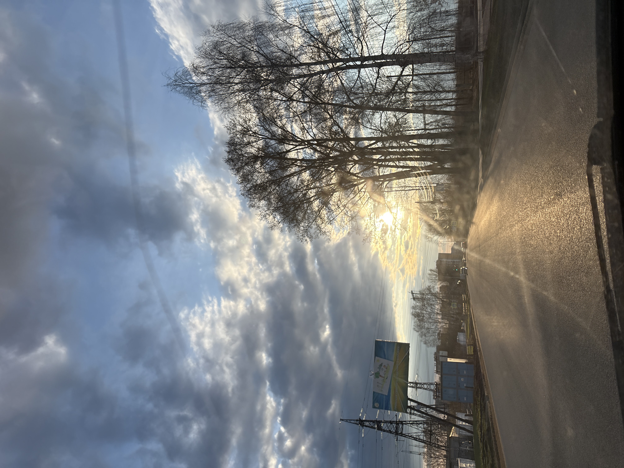 This image, taken in Прикамский, Russia, captures a serene outdoor scene at either sunrise or sunset, viewed from within a vehicle. The sun, low in the sky, casts brilliant golden rays across the asphalt road that stretches from the foreground into the distance on the right side of the frame. Strong lens flare emanates from the sun, which is partially obscured by a line of tall, bare deciduous trees, possibly birches, silhouetted against the bright sky on the left side of the road.
The sky is a dominant feature, displaying a mix of clear blue patches and dramatic, textured clouds, ranging from bright white and yellow near the sun to darker greys further away. The golden light illuminates the scene, creating long shadows and a warm, atmospheric glow on the wet-looking road surface.
In the mid-ground, a large billboard stands prominently on the left side of the road. Its design features a blue and yellow background, and a cartoon-like cow or calf wearing a garland. Visible text on the billboard, likely in Russian, reads "ПОДДЕРЖИМ СВОЁ" (Let's support our own) and "покупай отечественное" (buy domestic), promoting local products. Below the billboard and extending into the distance, power lines and tall metal pylons are visible. Indistinct buildings and another light pole can be seen further along the road. No people are visible in the image. The composition suggests a moment of travel, with the car's window frame partially visible on the right edge.