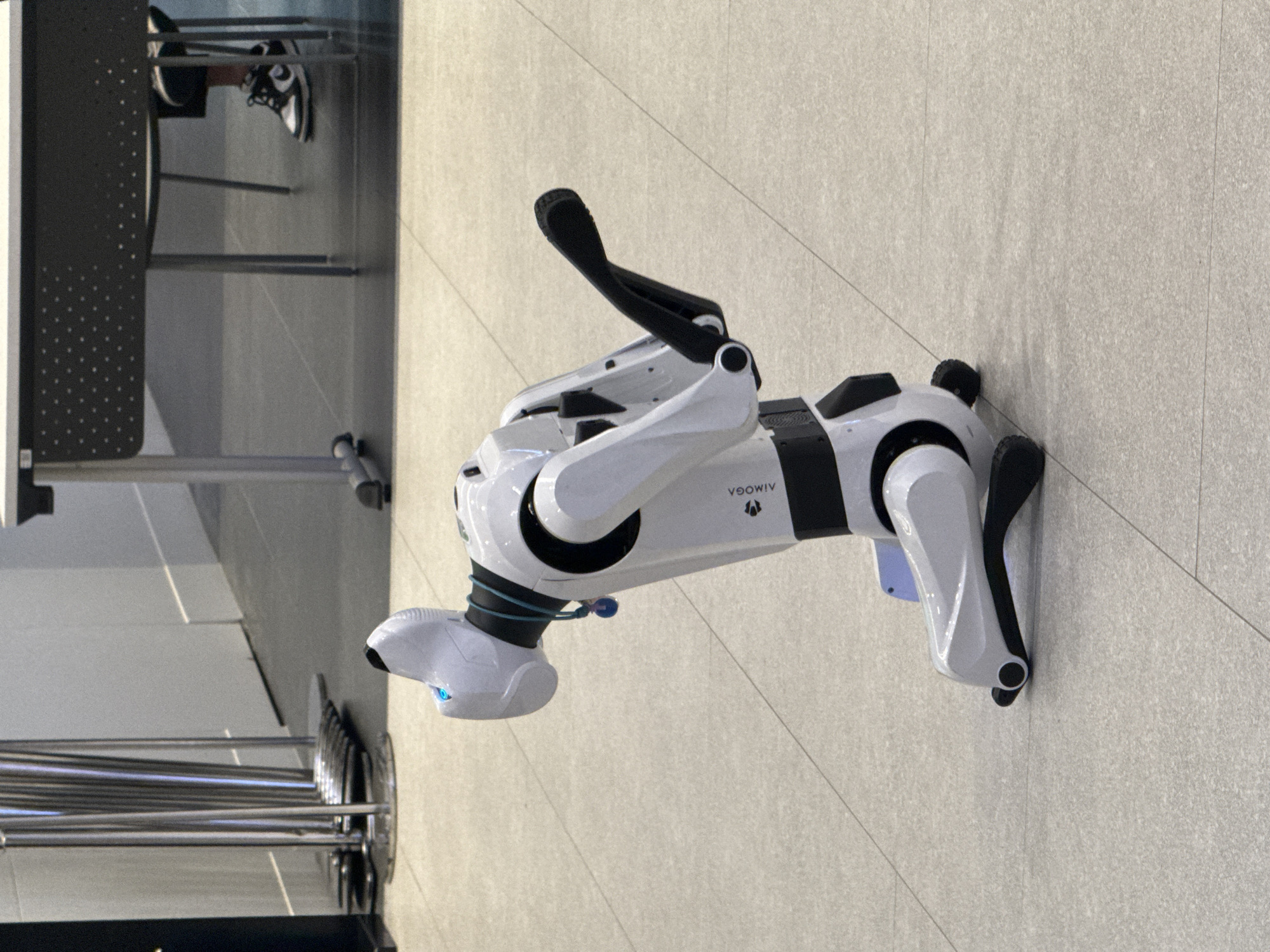 A white and black robot dog is positioned on a light-colored tiled floor. The robot dog is in a somewhat crouched stance, with its body angled diagonally across the frame. It has a sleek, futuristic design with articulated limbs and a visible "VOWIV" logo on its side. The robot's head appears to have a blue light emanating from its "eyes." In the background, there are elements of an indoor setting, including what looks like a metal railing or barrier system to the left and what might be furniture or equipment partially visible in the upper left corner, with a person's feet wearing sneakers also present in that area. The lighting suggests an indoor environment, possibly a public space or a commercial area, as indicated by the tile flooring and the background elements. There are no clear indicators of time of day or weather conditions, but the overall scene is static and the robot is not actively engaged in any movement. The location context of Bangkok, Thailand, is noted but not directly evident from visual cues within the image itself.