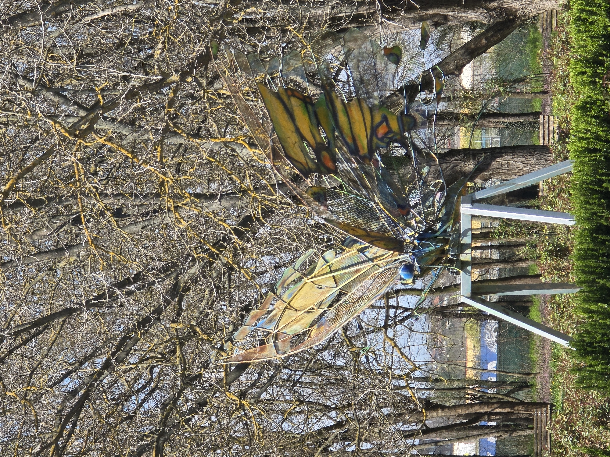 An outdoor scene in Yambol, Bulgaria, features a large metal butterfly sculpture set against a background of bare trees with sparse yellow lichen. The sculpture has colored wings, a metal mesh body, and is supported by a light blue metal stand. A hedge and trees line the background, with a glimpse of buildings in the distance. The ground appears to be grass.