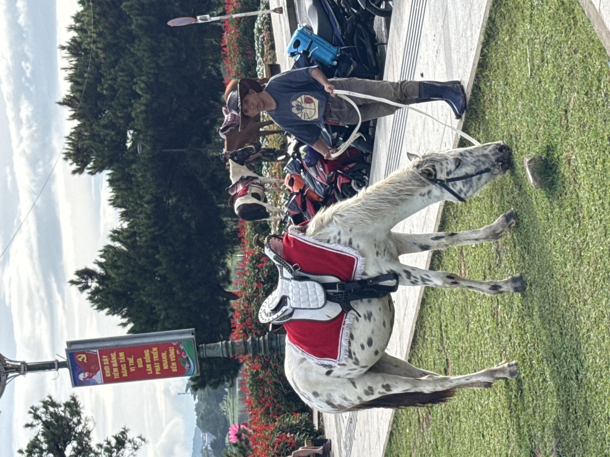 The image shows a man standing next to two horses in what appears to be a park in Da Lat, Vietnam. The man is wearing a t-shirt, pants, and cowboy boots and holding the reins of a white, speckled horse. The horse is equipped with a saddle and red saddle blanket. Next to him stands a second brown horse. The man is standing on a paved area, with green grass nearby. In the background, there is a sign with Vietnamese script and a picture of Ho Chi Minh, and trees. Parked motorcycles are visible. Red flowers are planted near the paved area. The image is taken in daylight, and the scene appears to be a tourist attraction where people can ride horses.