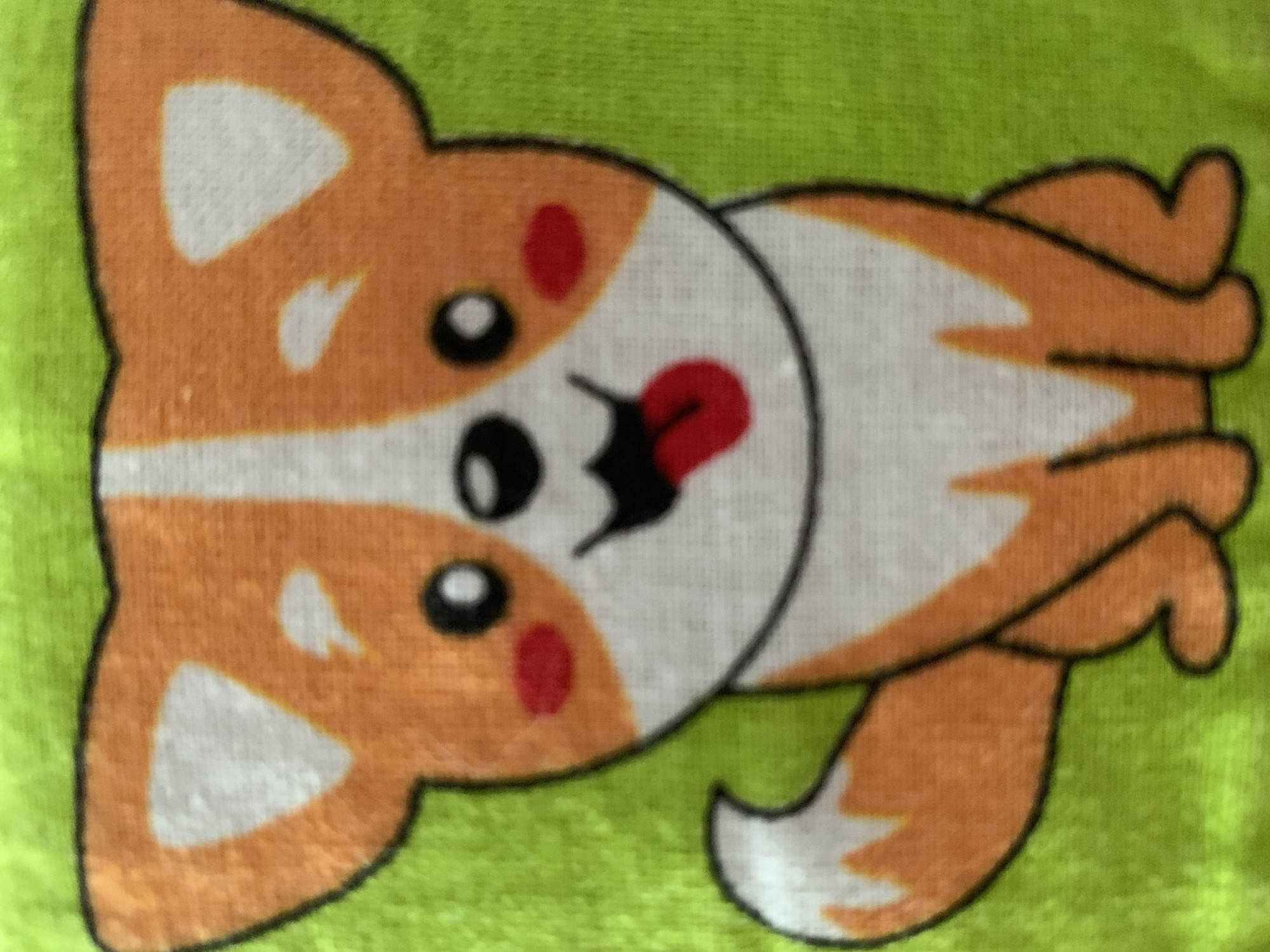 The image is a close-up, slightly blurry photograph of a cartoon corgi dog printed on a light green fabric. The corgi is depicted with orange and white fur markings, black eyes, red cheeks, and a pink tongue sticking out. The dog is sitting down with its tail curled to the left. The background is a solid, bright light green. There is no information or visual cue in the image that indicates its location in the city of Stavropol, Russia.