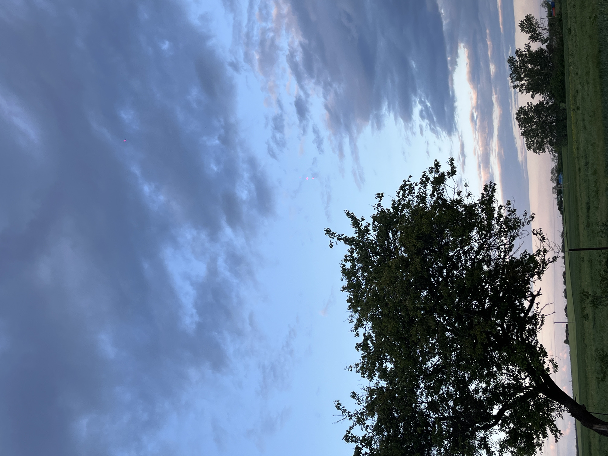 The image shows an evening sky with clouds in Novopokrovskaya, Russia. The sky transitions from a lighter blue towards the horizon to darker, grey clouds overhead. There are hints of pink and orange on some of the clouds near the horizon, indicating a sunset or sunrise. A large tree is silhouetted in the foreground, on the right side of the image. Beyond the tree, a field of green crops is visible, with additional trees and what appear to be utility poles or power lines. A small pink dot is visible in the upper left portion of the sky.