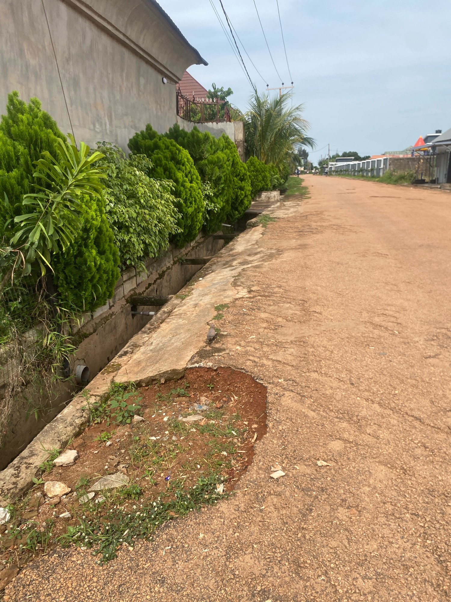 In Barden Yana, Nigeria, a dirt road curves gently, flanked on the left by a concrete drainage ditch and a neatly manicured hedge of green shrubs. A house with a textured gray wall and a sloped roof borders the hedge, with a decorative metal fence and a red-tiled roof visible in the background. On the right side of the road, houses with white fences and various roof structures line the street. Overhead, power lines are strung across a pale blue sky. A single pigeon is visible in the foreground, near the drainage ditch. The overall scene depicts a residential area in Nigeria.