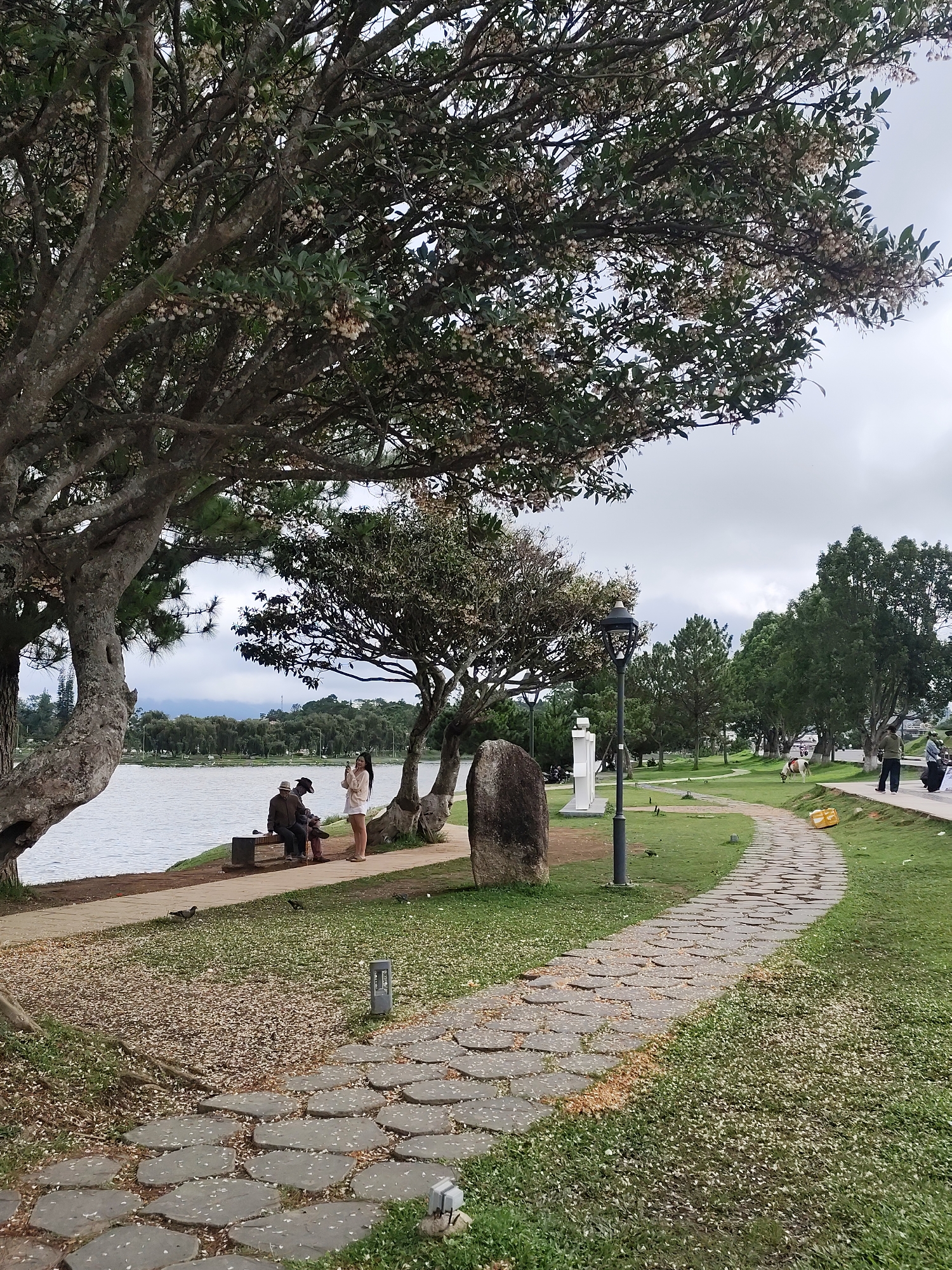 The image depicts a park scene in Da Lat, Vietnam. A tree with light-colored blossoms dominates the upper left of the frame. A stone pathway curves to the right, bordered by grass. A lamp post stands near the pathway. In the background, a lake is visible, with a man and a woman standing near a bench along the shoreline. Two men are seated on the bench. Several birds are on the ground near the bench. Additional trees and greenery line the park. Several people are walking on the sidewalk in the distance. The sky is overcast. A statue is visible in the center.