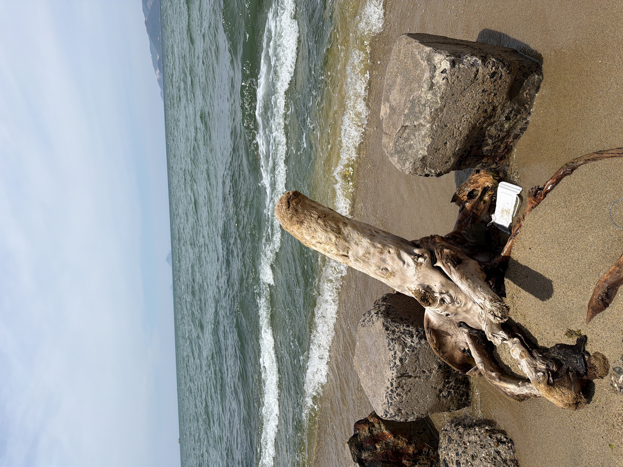 The image depicts a beach scene in Nha Trang Ward, Vietnam, under a partly cloudy sky. The foreground is dominated by a large piece of weathered driftwood resting on the sand, with its gnarled roots and branches exposed. Two large, rough-hewn concrete blocks are positioned to the left and right of the driftwood. A smaller, rusty metal object is partially visible to the far left, near one of the concrete blocks. A small, white plastic object, possibly a container lid, is situated near the base of the driftwood. The sand is a light brown, wet near the water's edge. Gentle waves with white foam are washing onto the shore, with the green water stretching out to the horizon. In the distance, a hazy coastline with rolling hills is visible.