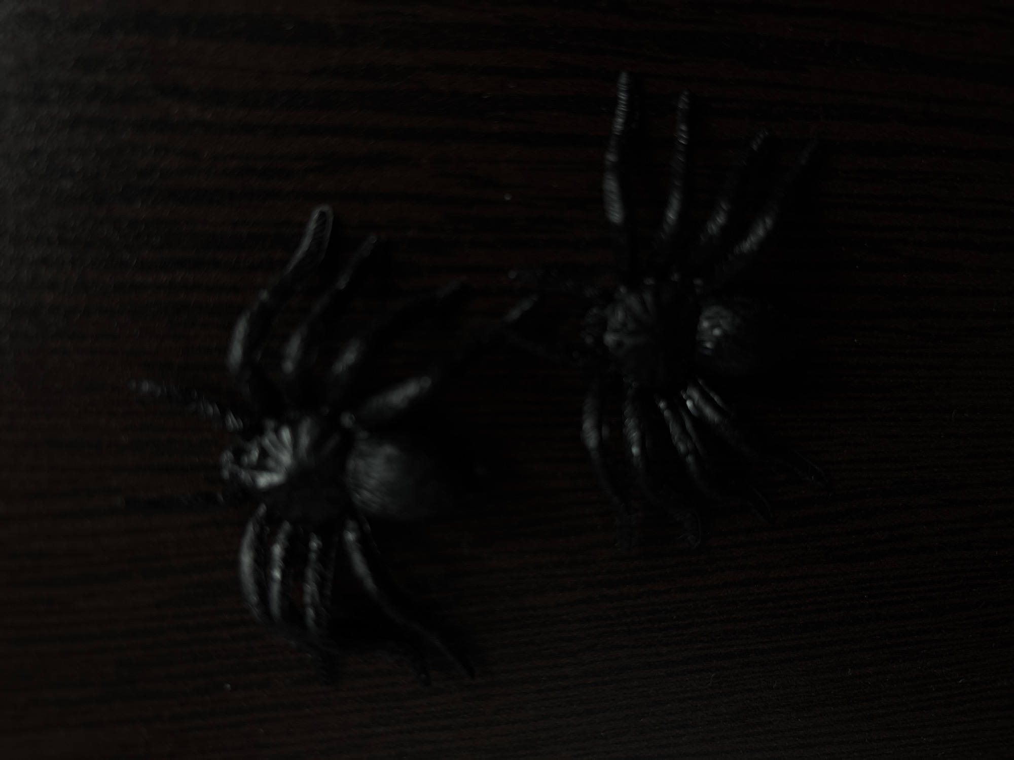 Two plastic black spiders are on a dark, possibly wooden, surface. There is no indication of the location being Plovdiv, Bulgaria.
