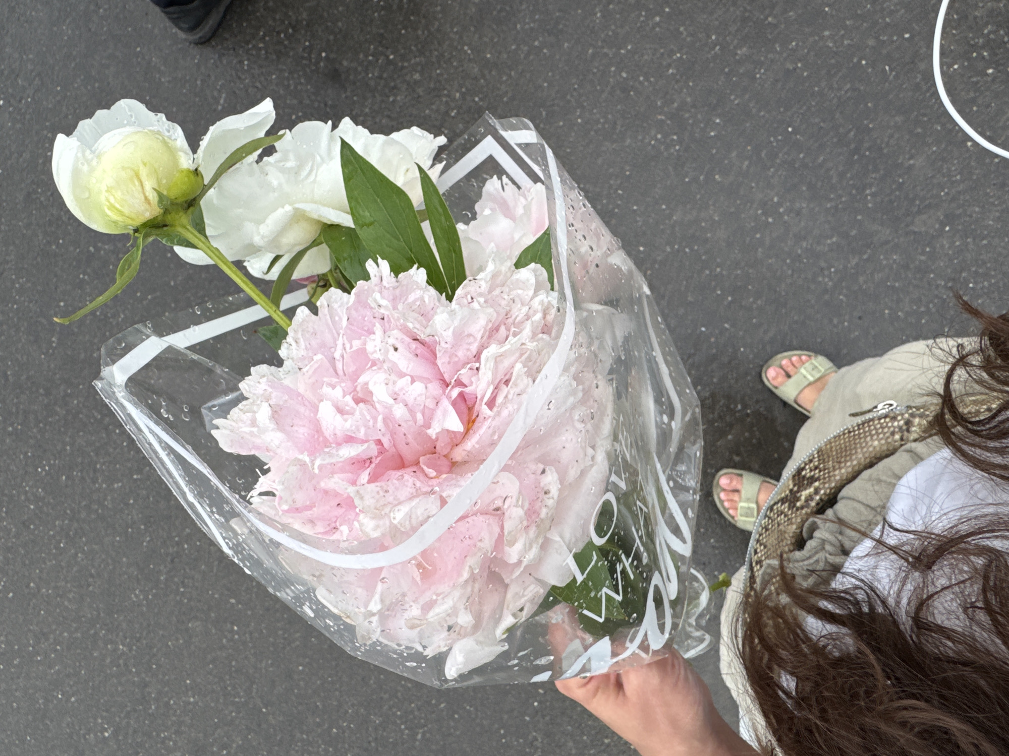 A person holds a bouquet of light pink and white peonies, some of which are slightly closed buds and others fully bloomed. The flowers are wrapped in clear plastic, with water droplets visible on the petals and plastic. The bouquet is being held from below by a hand with light skin tone, with dark brown hair framing the bottom right of the image. The background is an asphalt surface with scattered small white specks, suggesting an outdoor, possibly urban, setting. In the upper left corner, a dark shoe is partially visible. In the lower right portion of the image, another person's legs and feet are visible. They are wearing light beige pants and light green slip-on sandals. A patterned snake-skin print detail is visible on the pants, possibly a decorative element on a jacket or bag. The lighting appears to be natural daylight, and the water droplets suggest recent rain or mist. The overall scene feels casual and perhaps indicates a recent purchase of flowers. The text "LOVE WHAT" is partially visible on the white ribbon wrapped around the bouquet's plastic packaging.