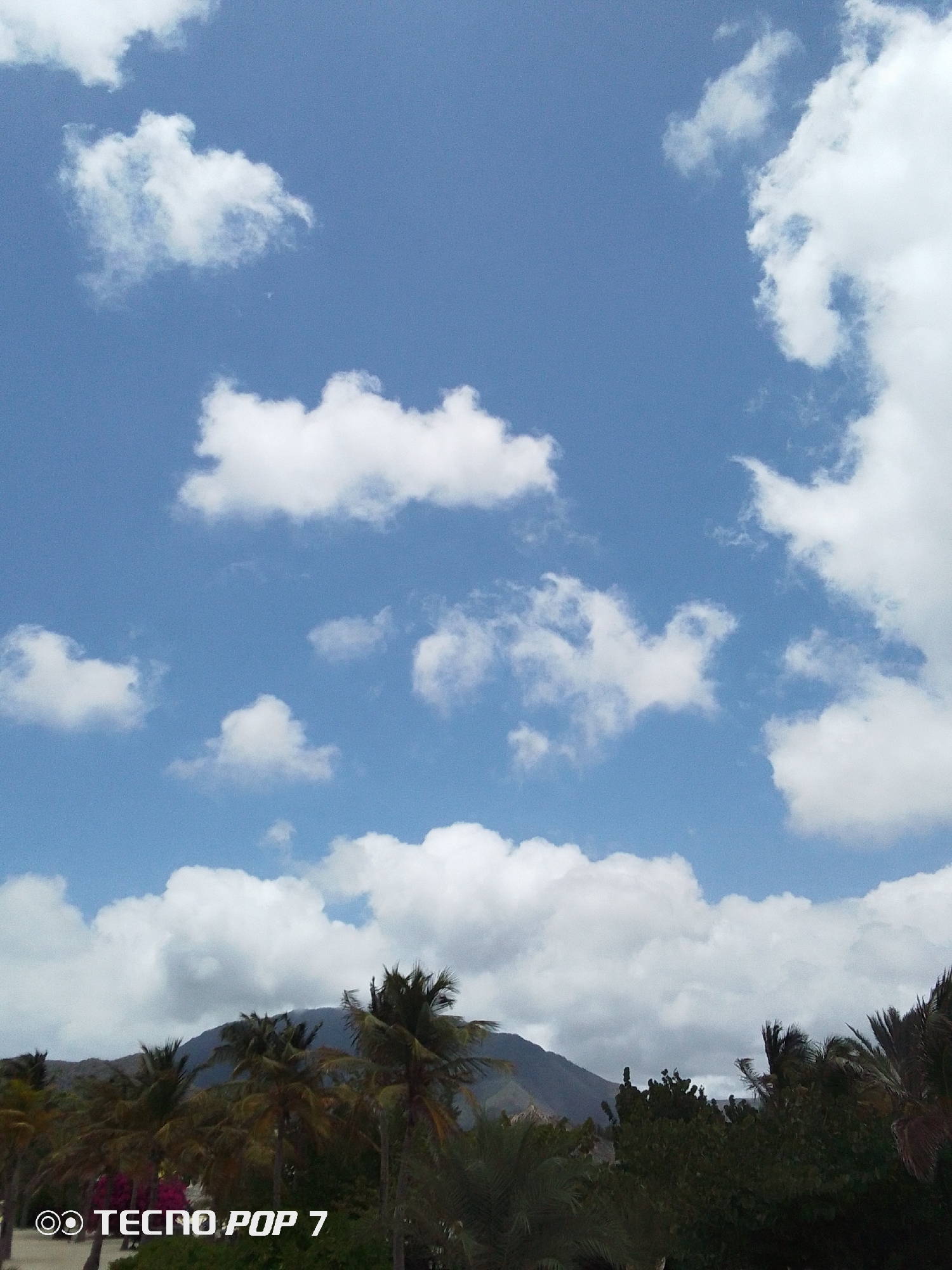 The image depicts a daytime scene in Pedro González, Venezuela. The sky is predominantly blue with scattered cumulus clouds. A mountain is visible in the background, partially obscured by trees. Palm trees and other vegetation dominate the foreground. The text "TECNO POP 7" is visible in the bottom left corner of the image.