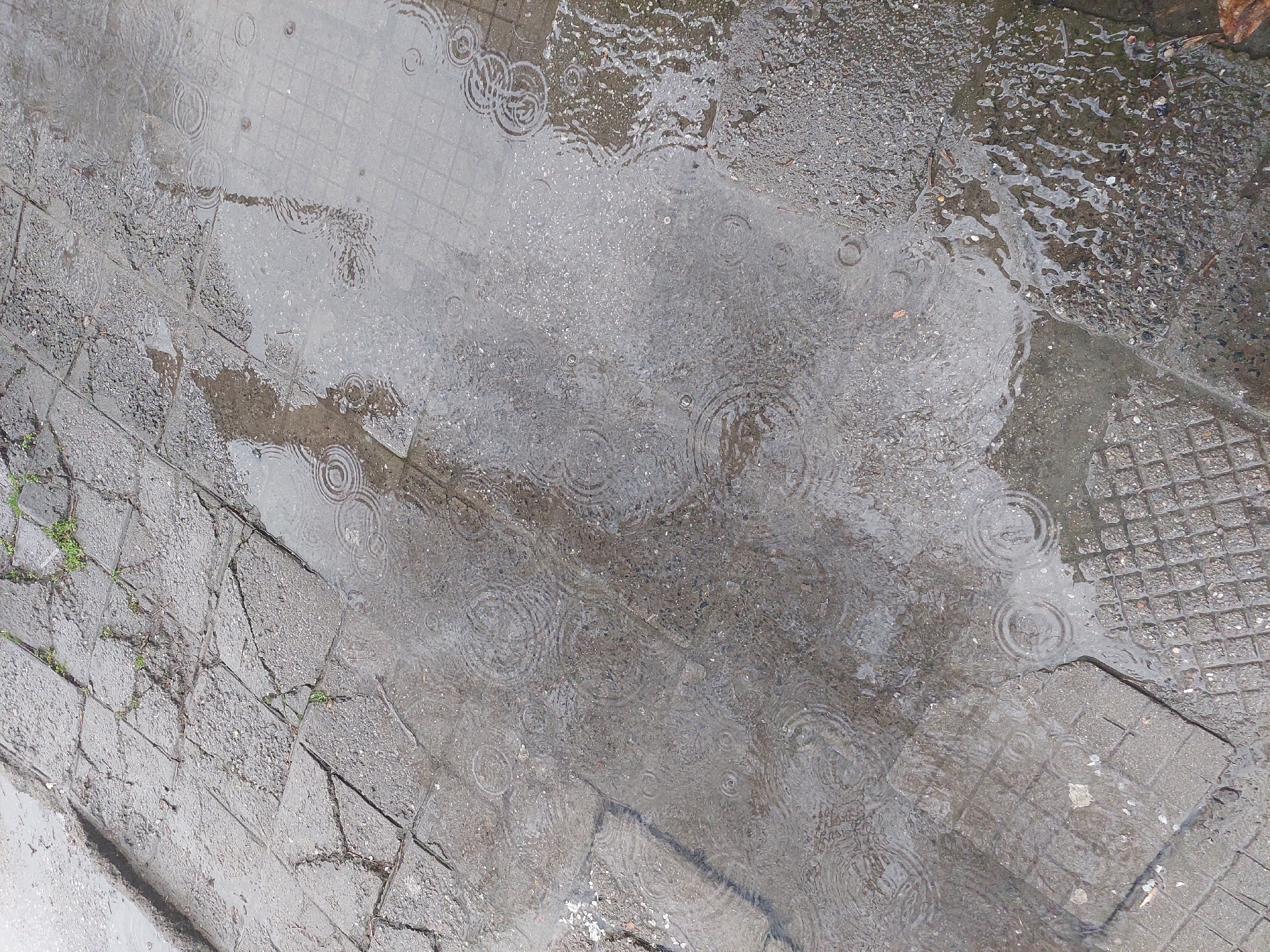 The image depicts a rain-soaked pavement in Plovdiv, Bulgaria. The pavement is composed of various materials: square cobblestones, rectangular concrete slabs, and sections with a textured, grid-like surface. Raindrops are creating concentric ripples in the shallow pools of water. Some moss or small plants are growing in the cracks between the stones in the lower left corner. A small amount of debris is visible at the top right corner.