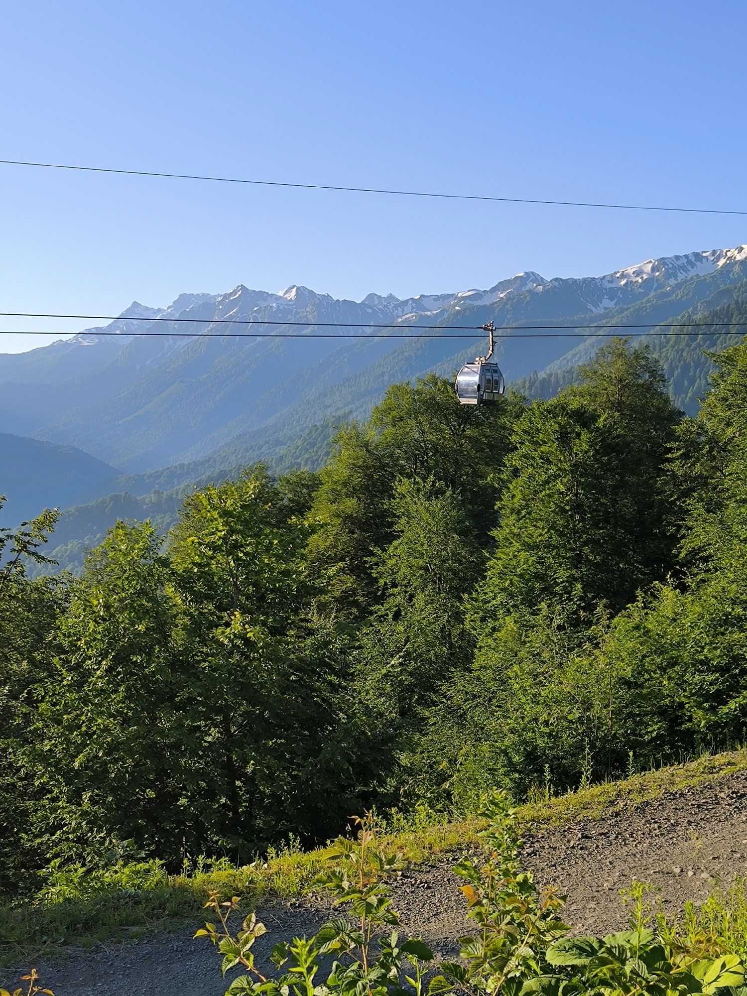 This is a vertical, eye-level, medium shot of a cable car moving through a mountainous landscape under a clear blue sky. The cable car, a modern, silver, gondola-style vehicle, is suspended from cables that stretch across the frame. In the foreground, lush green trees dominate the scene, with some of the foliage extending towards the bottom of the image. Behind the trees, the rugged terrain of mountains rises in layers, fading into a hazy blue in the distance. The peaks of the furthest mountains are capped with snow, contrasting with the green slopes below. The image captures a serene, natural environment, likely a tourist destination. The location is identified as Estosadok, Russia.