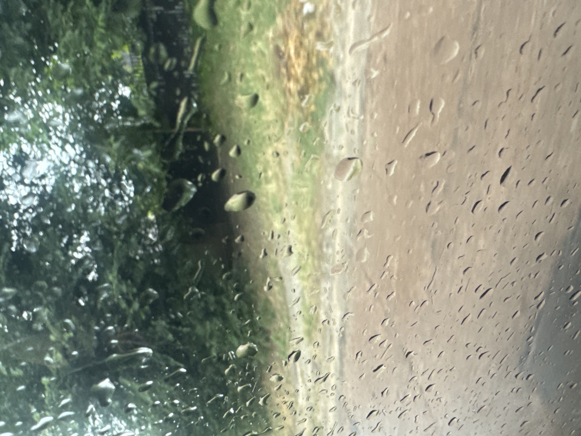 The image shows a view through a wet window, likely from inside a vehicle, looking out at a natural scene. Raindrops distort the view of green trees and foliage in the background. A dirt or gravel road runs horizontally across the midground, with patches of grass and some dried vegetation. The foreground is dominated by numerous raindrops of varying sizes streaking down the windowpane. The lighting suggests an overcast or rainy day. The specific location within Tiraspol, Moldova, cannot be determined from the visual information provided. There are no people, specific objects, or identifiable actions depicted.