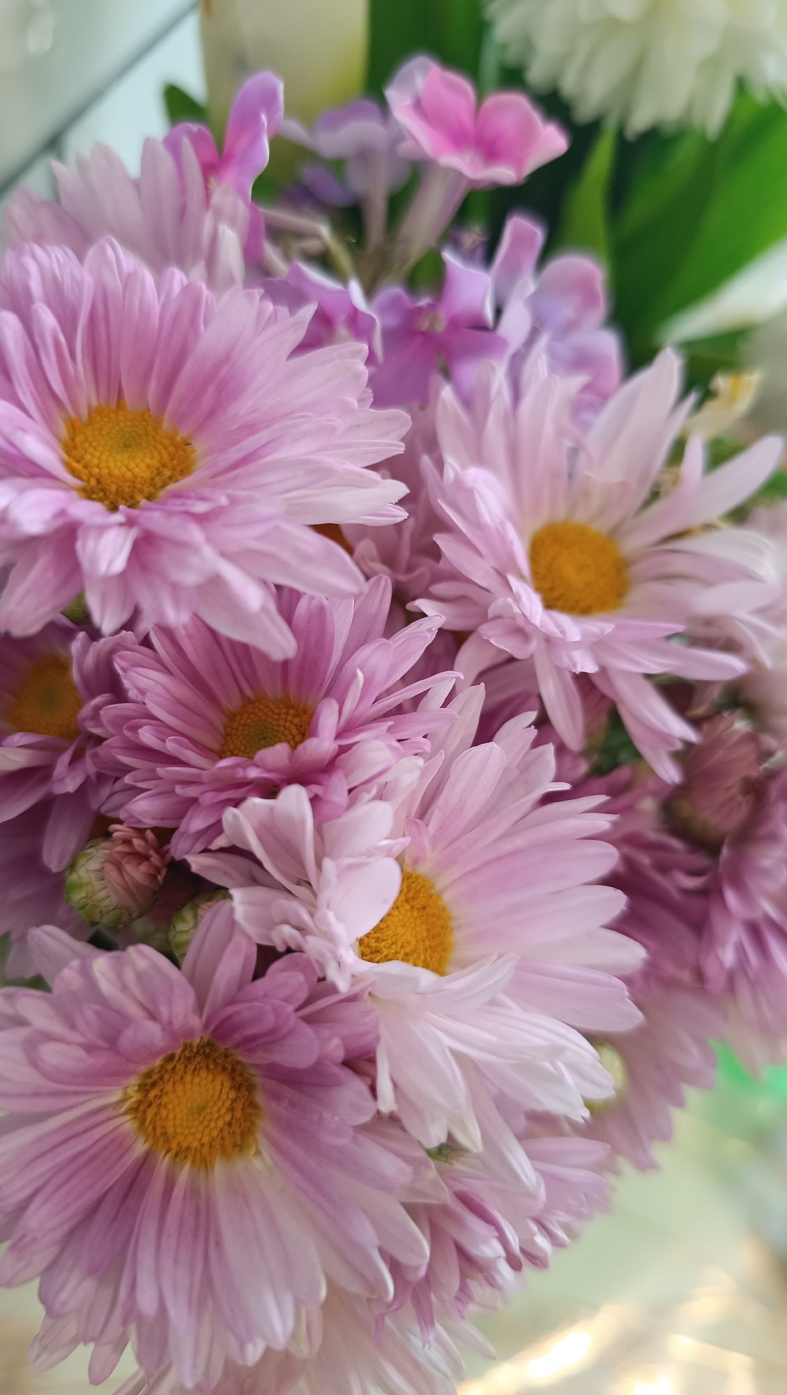 A close-up, vertical shot captures a bouquet of pink chrysanthemums with bright yellow centers. Several delicate pink and purple flowers are interspersed among the chrysanthemums, adding depth and variety to the arrangement. The background is softly blurred, with hints of green foliage and a light-colored object, possibly a vase. The lighting is soft and diffused, highlighting the delicate textures of the petals. There is no discernible information about the location of Chaikovsky, Russia, in this image.