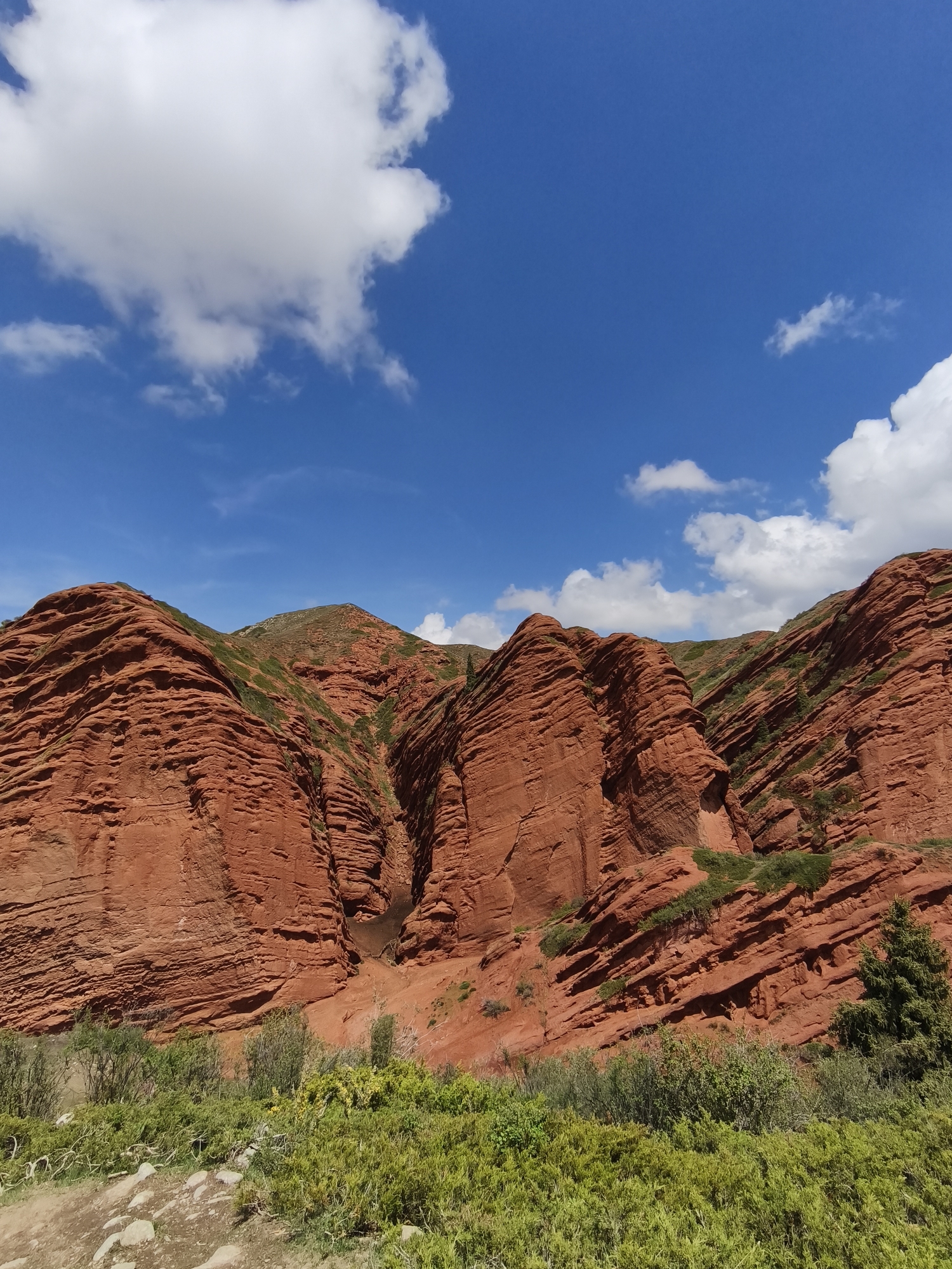 The image captures a majestic natural landscape dominated by striking red rock formations under a clear blue sky. Towering, stratified red mountains or cliffs rise prominently, showcasing distinct horizontal layers and rugged textures. Patches of vibrant green vegetation, including shrubs and grasses, are interspersed across the rock slopes and thickly cover the immediate foreground, providing a strong color contrast against the reddish-orange hues of the stone.
A deep, shadowed gulley or cleft is visible between the main rock structures in the mid-ground, hinting at the dramatic geological features of the area. The sky is a brilliant, unblemished blue, adorned with scattered, fluffy white cumulus clouds. The bright, even lighting suggests it is daytime, likely late morning or early afternoon, with ample sunshine illuminating the scene.
There are no people, animals, or artificial structures present, emphasizing the wild and untouched nature of the environment. The scene conveys a sense of grandeur and natural beauty, characteristic of the unique geological formations found in locations such as Jeti-Ögüz in Kyrgyzstan, known for its distinctive red sandstone landscapes. No visible text is present in the image.