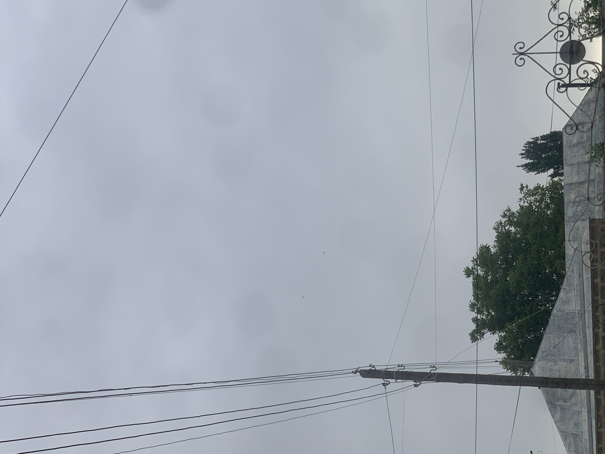 A wire strung between a utility pole and a distant anchor point is visible against a cloudy, overcast sky. A few other wires are also present, running parallel to each other. A large tree with dense green foliage is situated behind a sloped, corrugated metal roof, which is itself atop a brick structure. A decorative wrought-iron gate with a swirling design is also present in the foreground. The scene is likely in Gyumri, Armenia, based on the provided context.